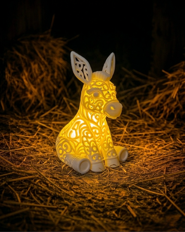 Lumorna Light Moment | The Donkey