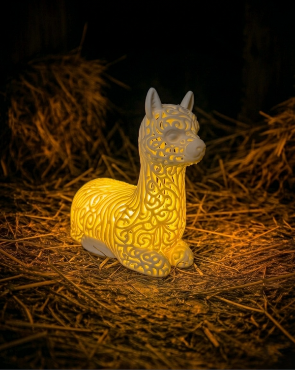 Lumorna Lightmoment | The Alpaca