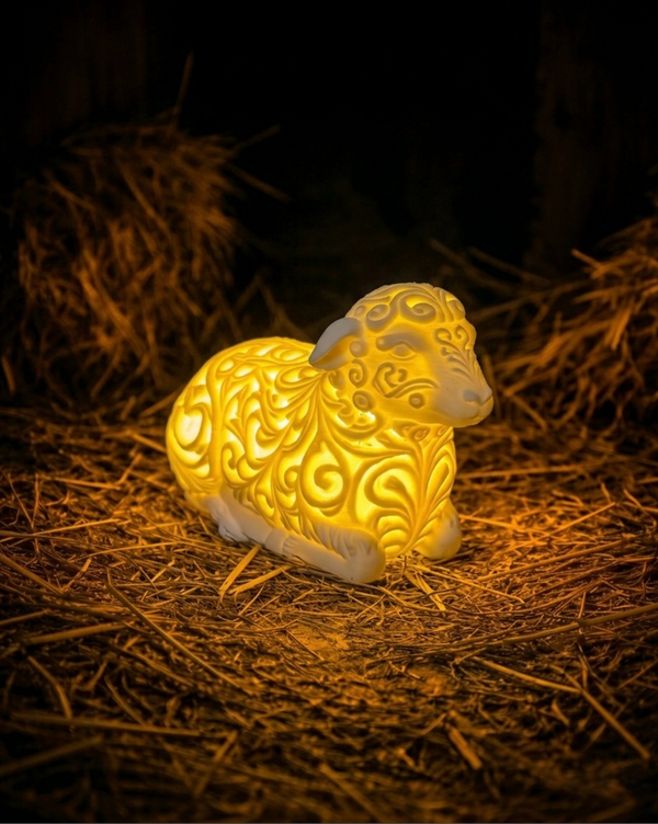 Lumorna Moment of Light | The Sheep