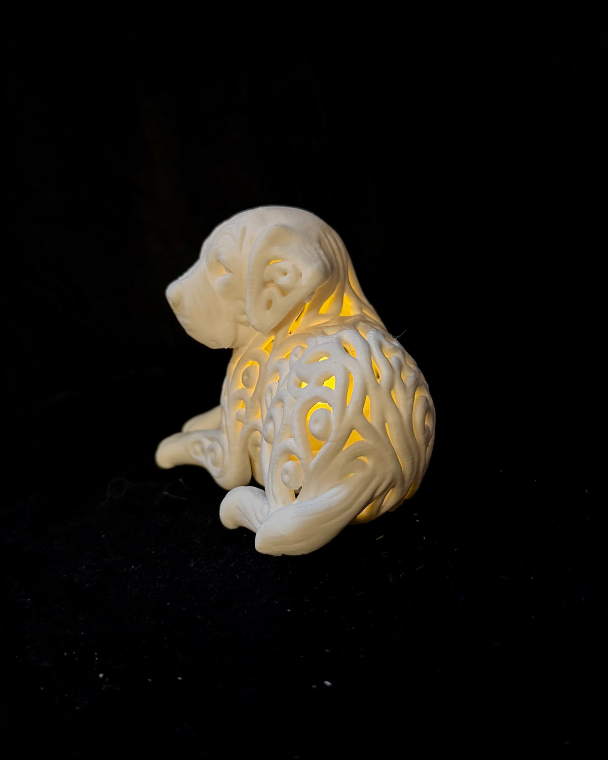 Lumorna Instant Lumière | Le Golden Retriever Allongé