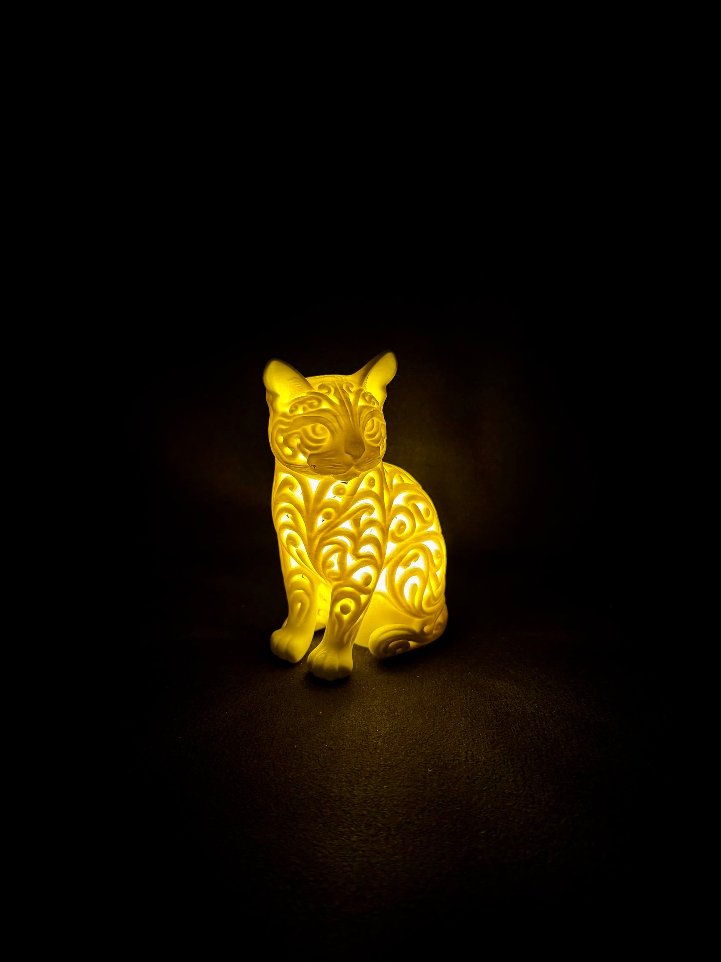 Lumorna Lichtmoment | Katze sitzend