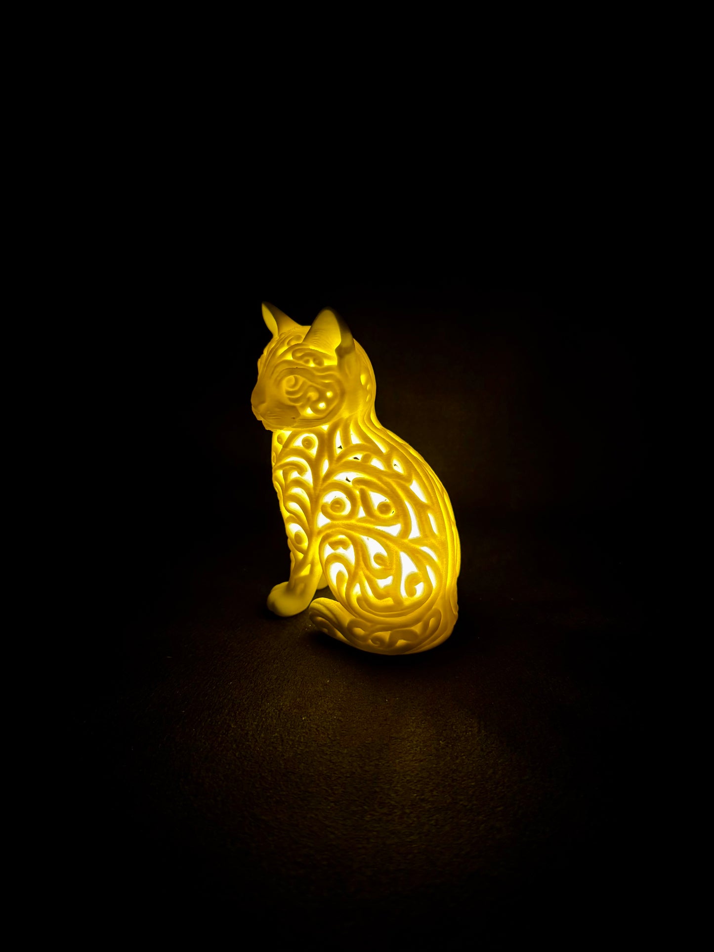 Lumorna Lichtmoment | Katze sitzend