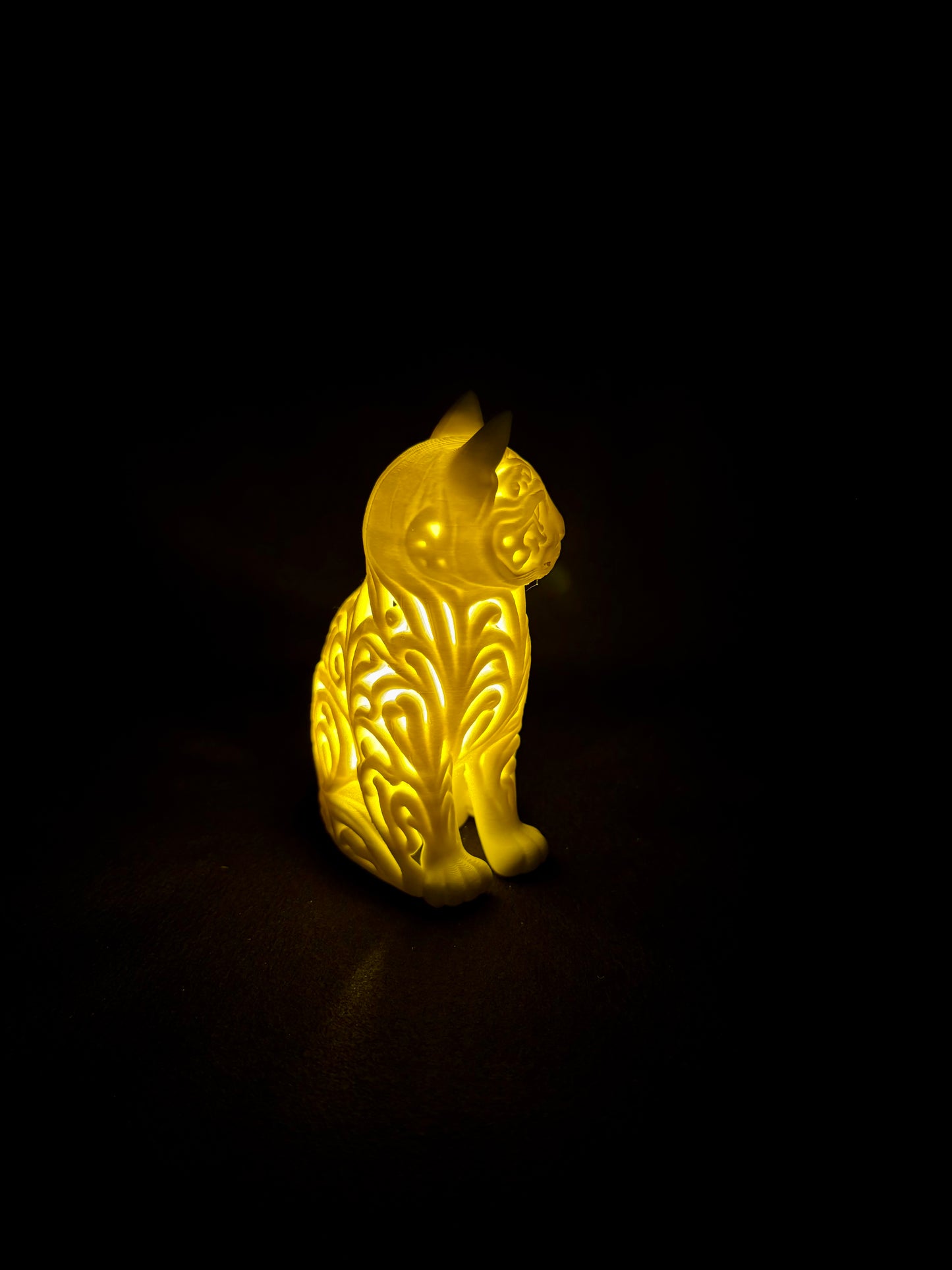 Lumorna Lichtmoment | Katze sitzend