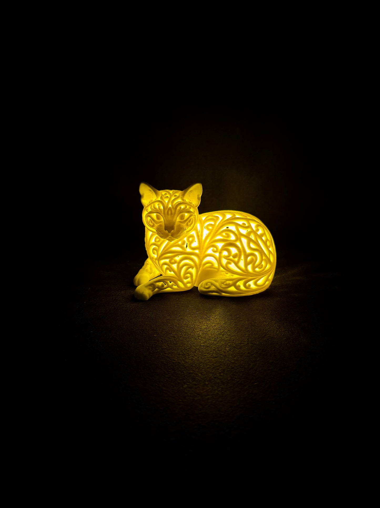 Lumorna Lichtmoment | Katze liegend
