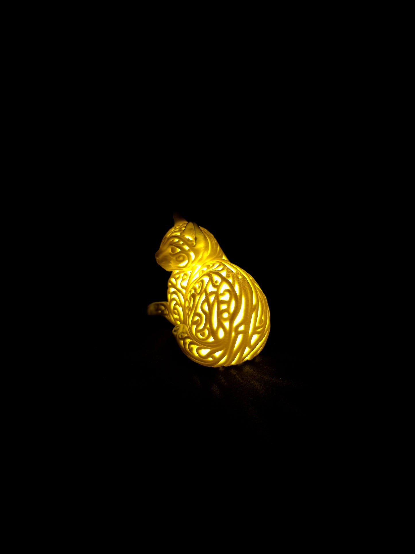 Lumorna Lichtmoment | Katze liegend