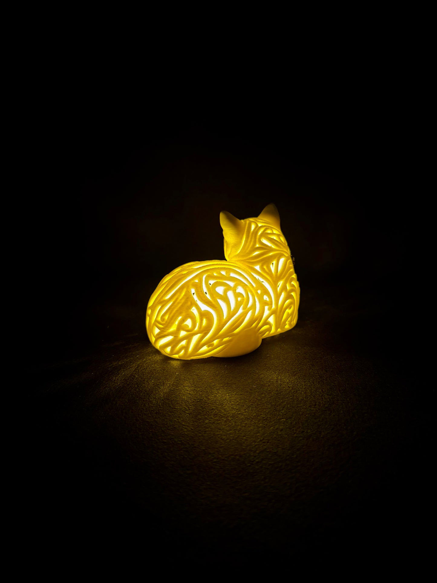 Lumorna Lichtmoment | Katze liegend