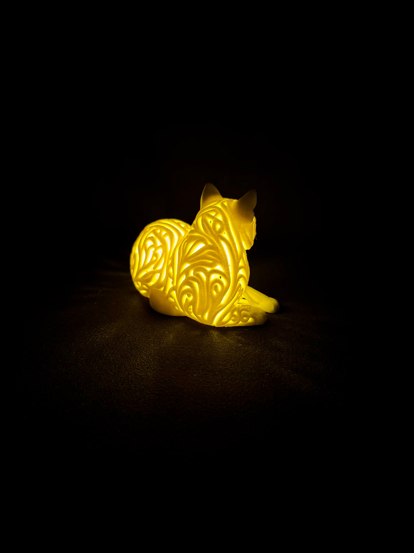 Lumorna Lichtmoment | Katze liegend