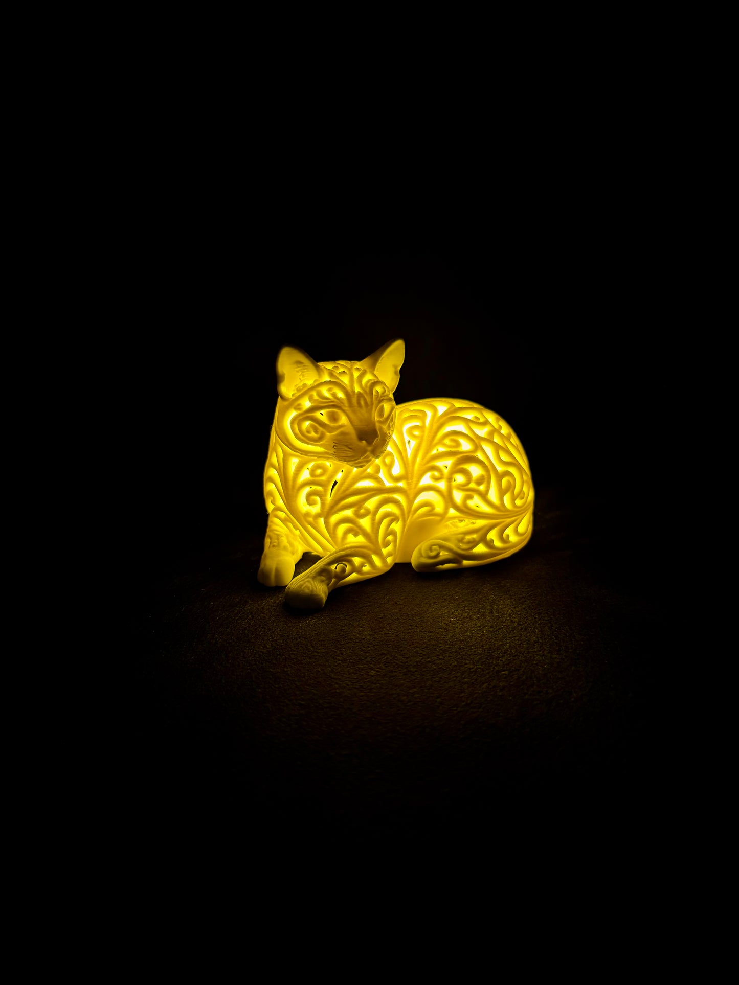 Lumorna Lichtmoment | Katze liegend