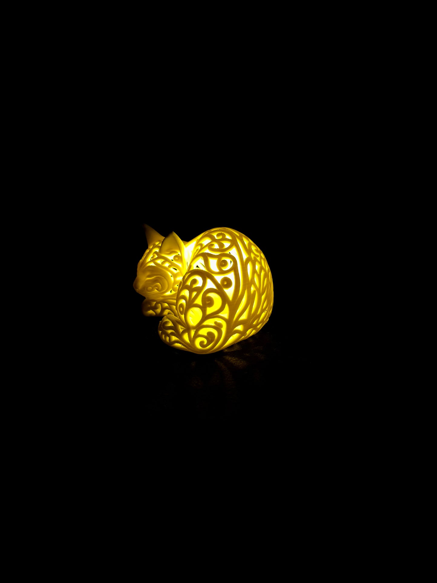 Lumorna Lichtmoment | Katze schlafend