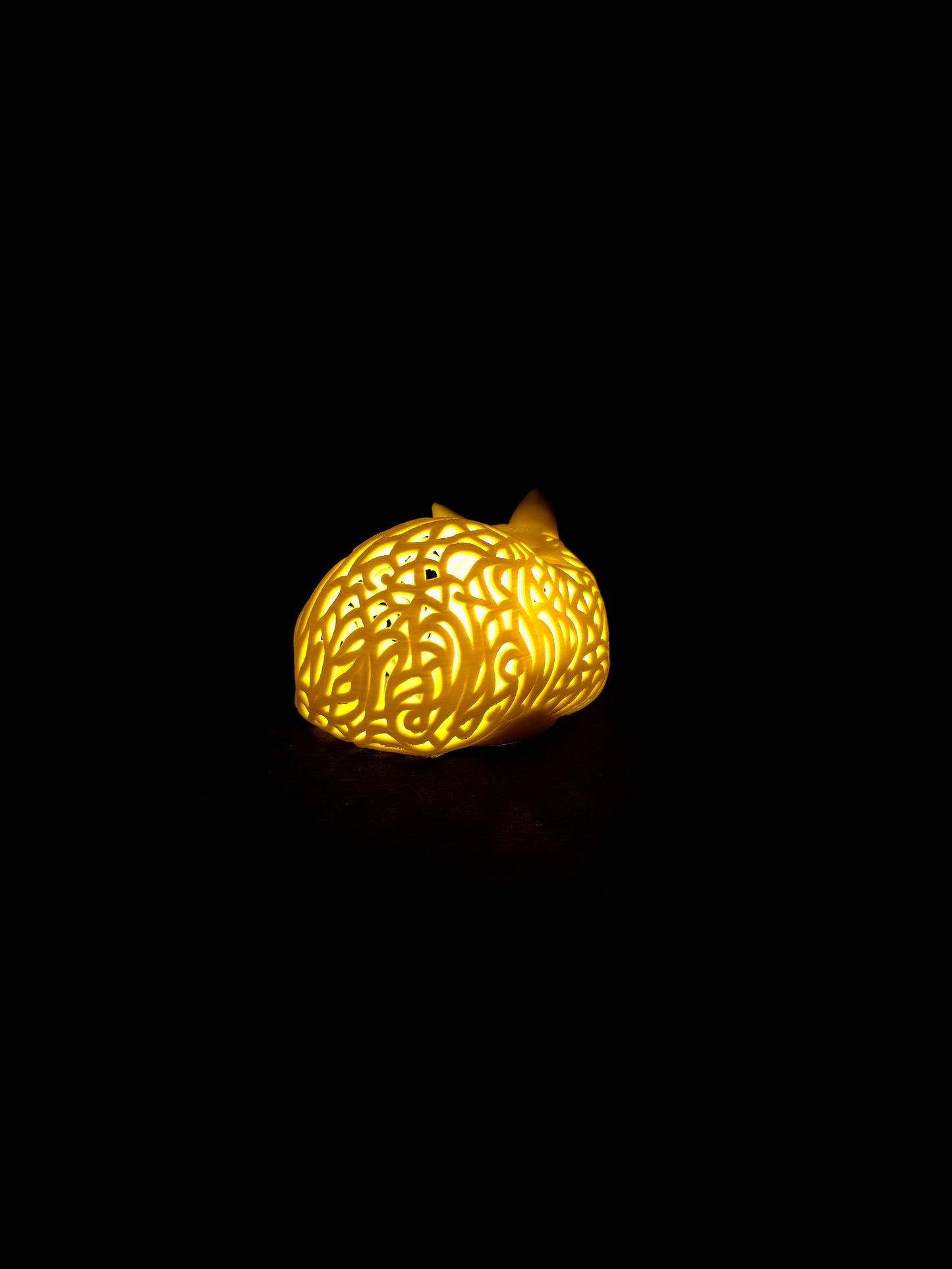 Lumorna Lichtmoment | Katze schlafend