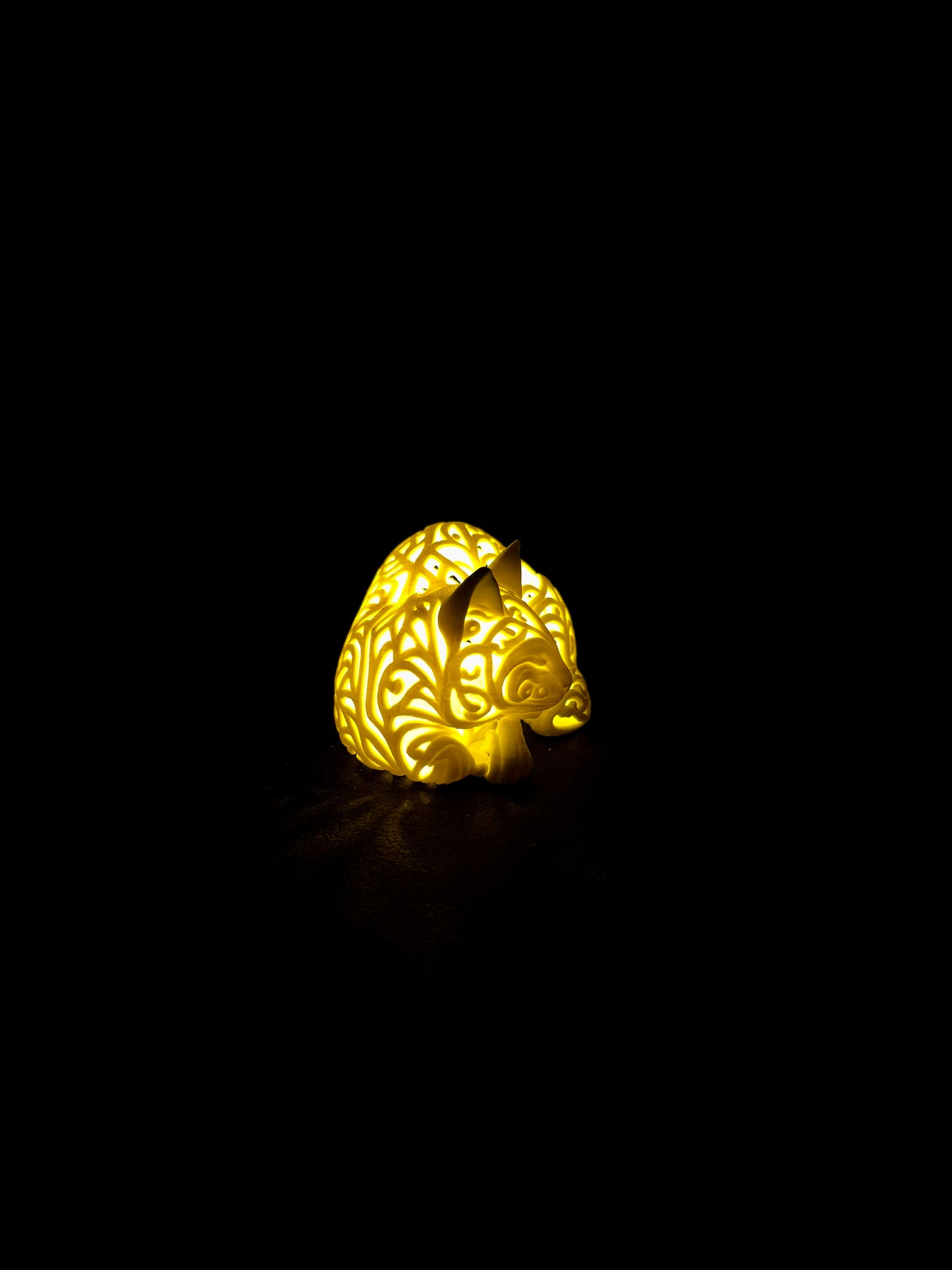 Lumorna Lichtmoment | Katze schlafend