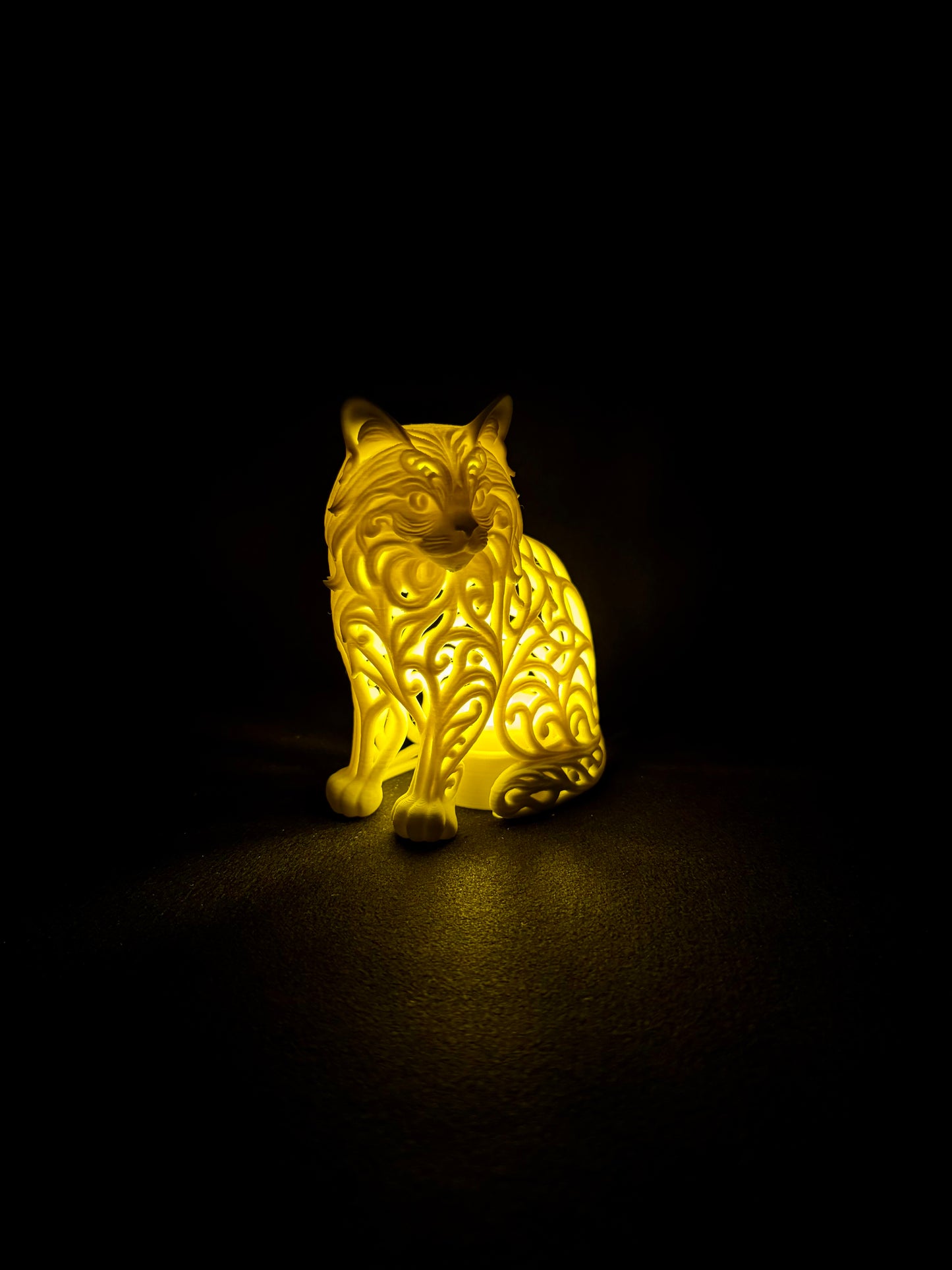 Lumorna Lichtmoment | Katze sitzend (Langhaar)