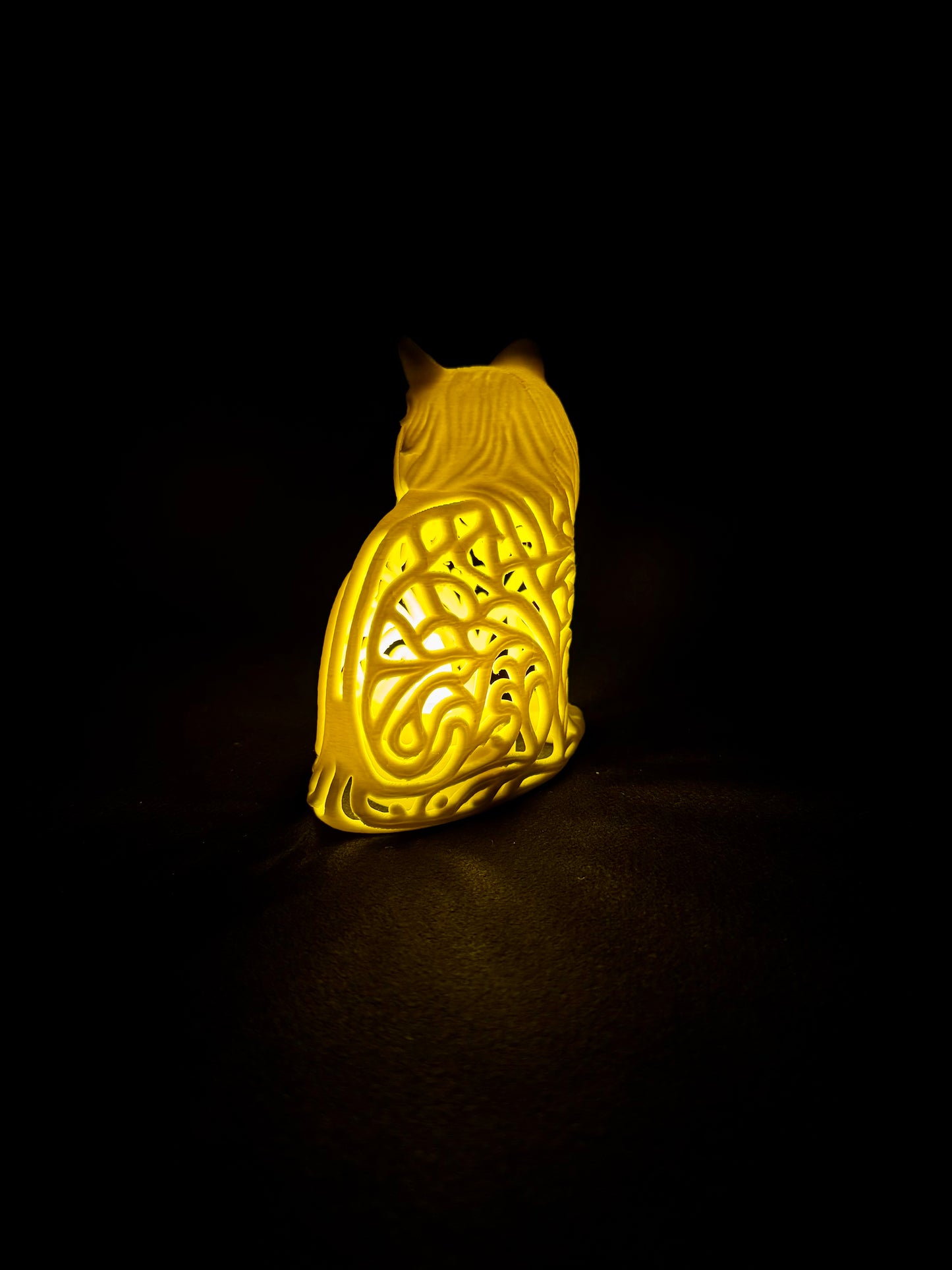 Lumorna Lichtmoment | Katze sitzend (Langhaar)