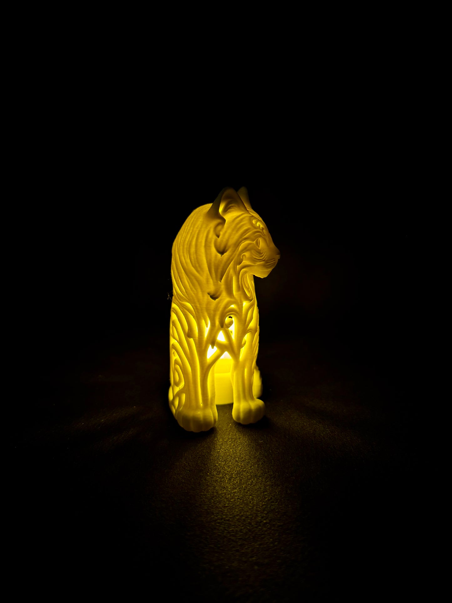 Lumorna Lichtmoment | Katze sitzend (Langhaar)