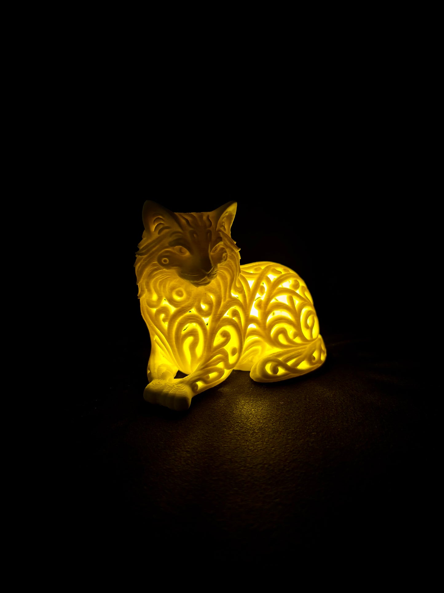 Lumorna Lichtmoment | Katze Liegend (Langhaar)