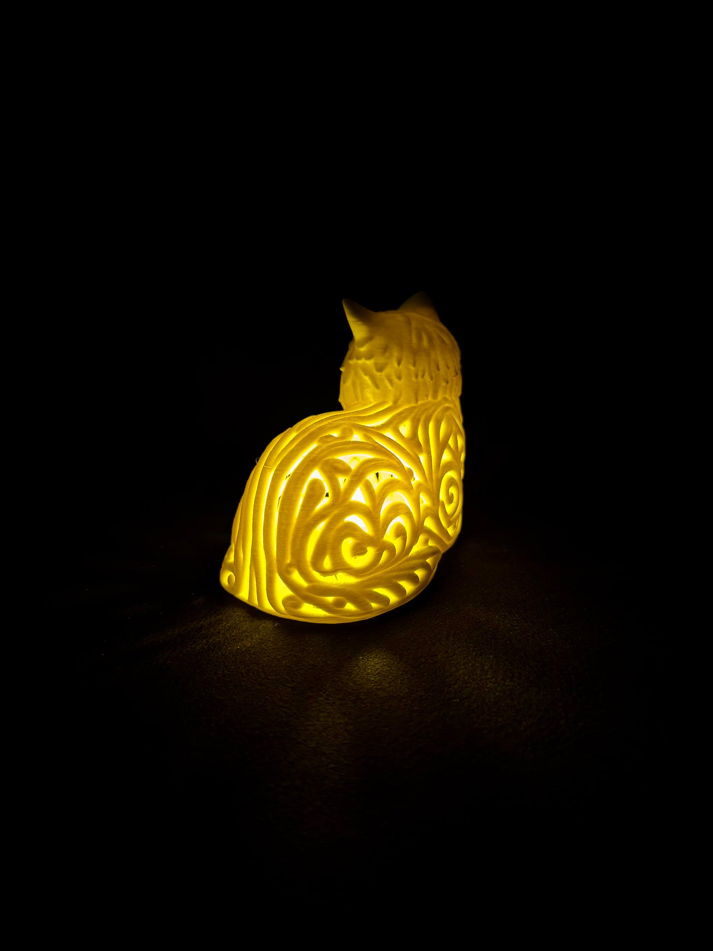 Lumorna Lichtmoment | Katze liegend (Langhaar)
