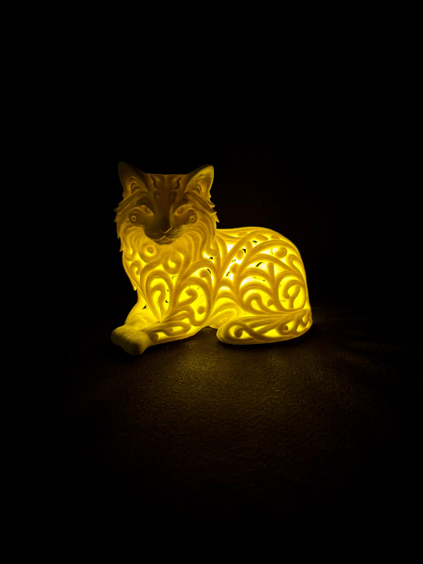 Lumorna Lichtmoment | Katze liegend (Langhaar)