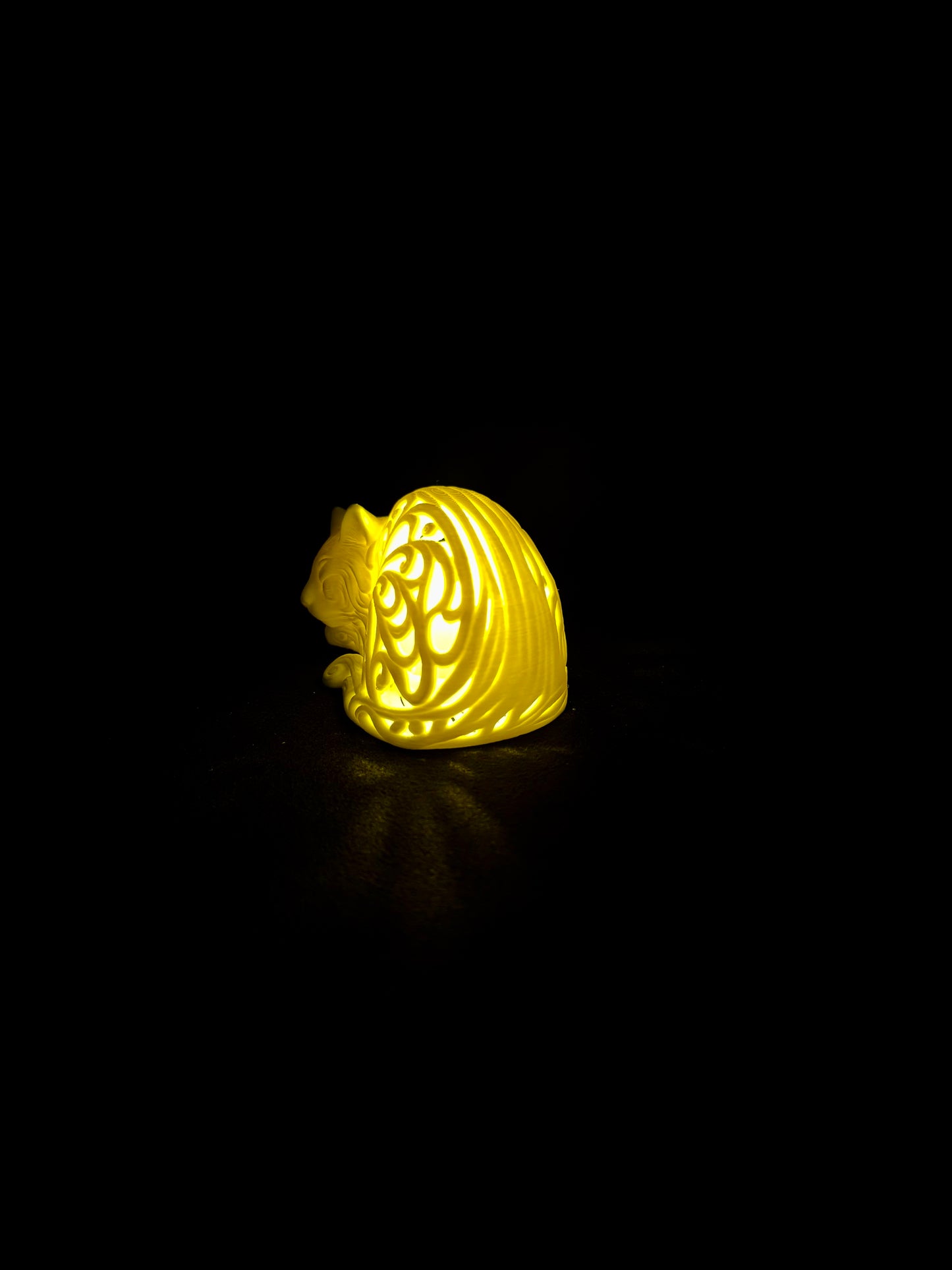 Lumorna Lichtmoment | Katze Schlafend (Langhaar)