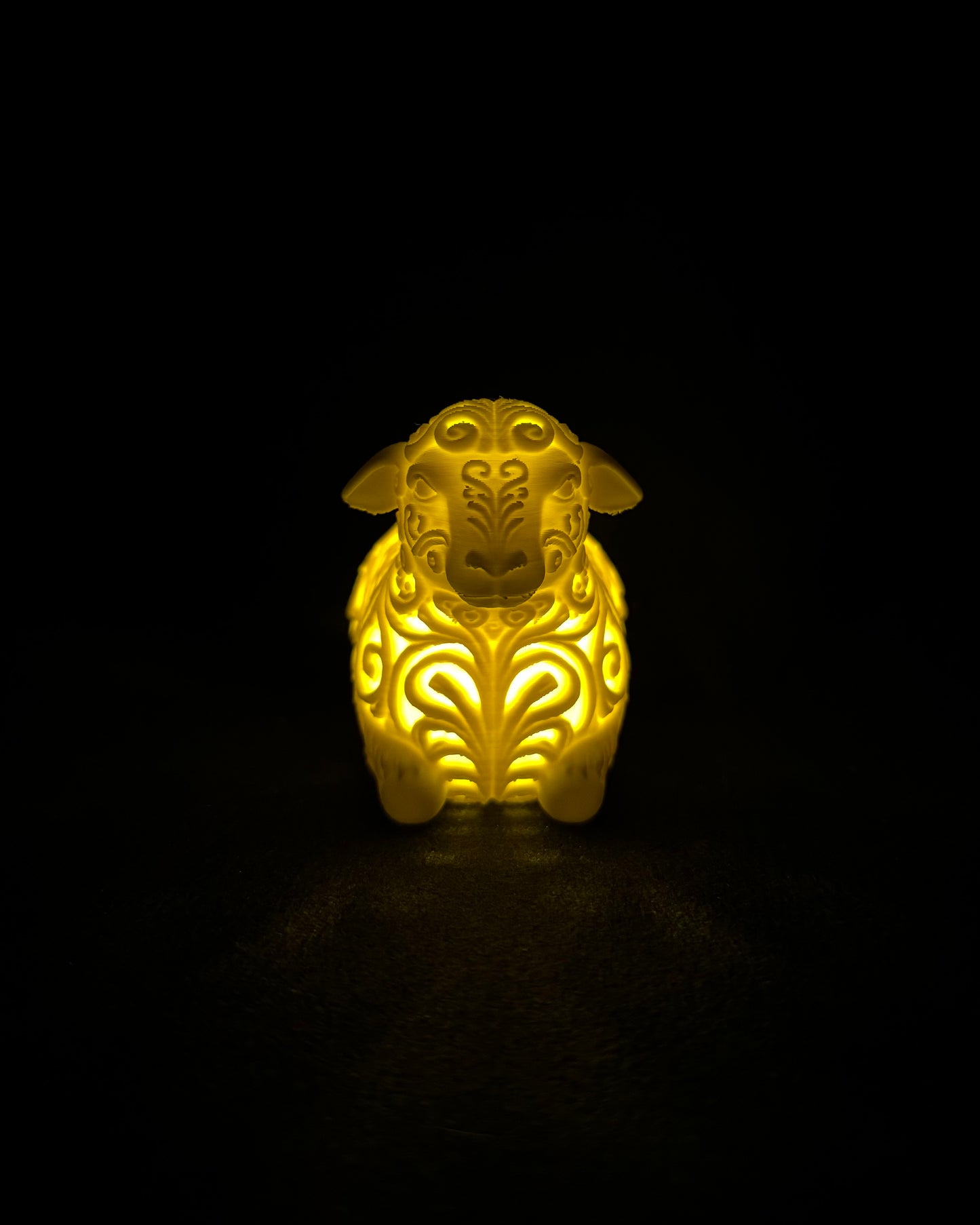 Lichtmoment Das Schaf