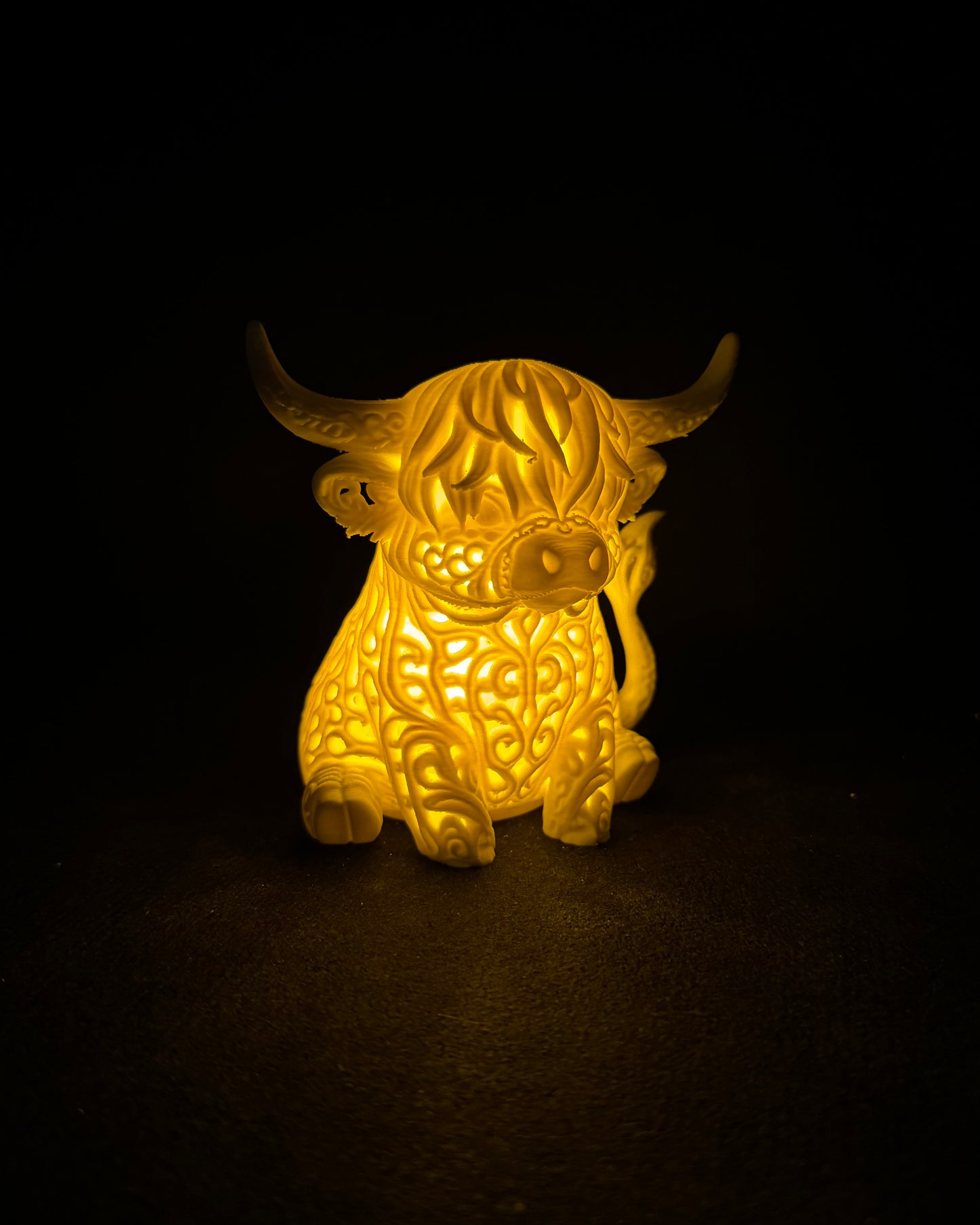 Lumorna Moment of Light | The Highland Cattle