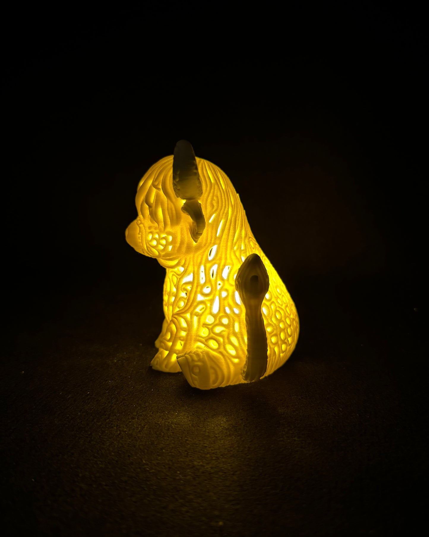 Lumorna Lichtmoment | Das Hochlandrind