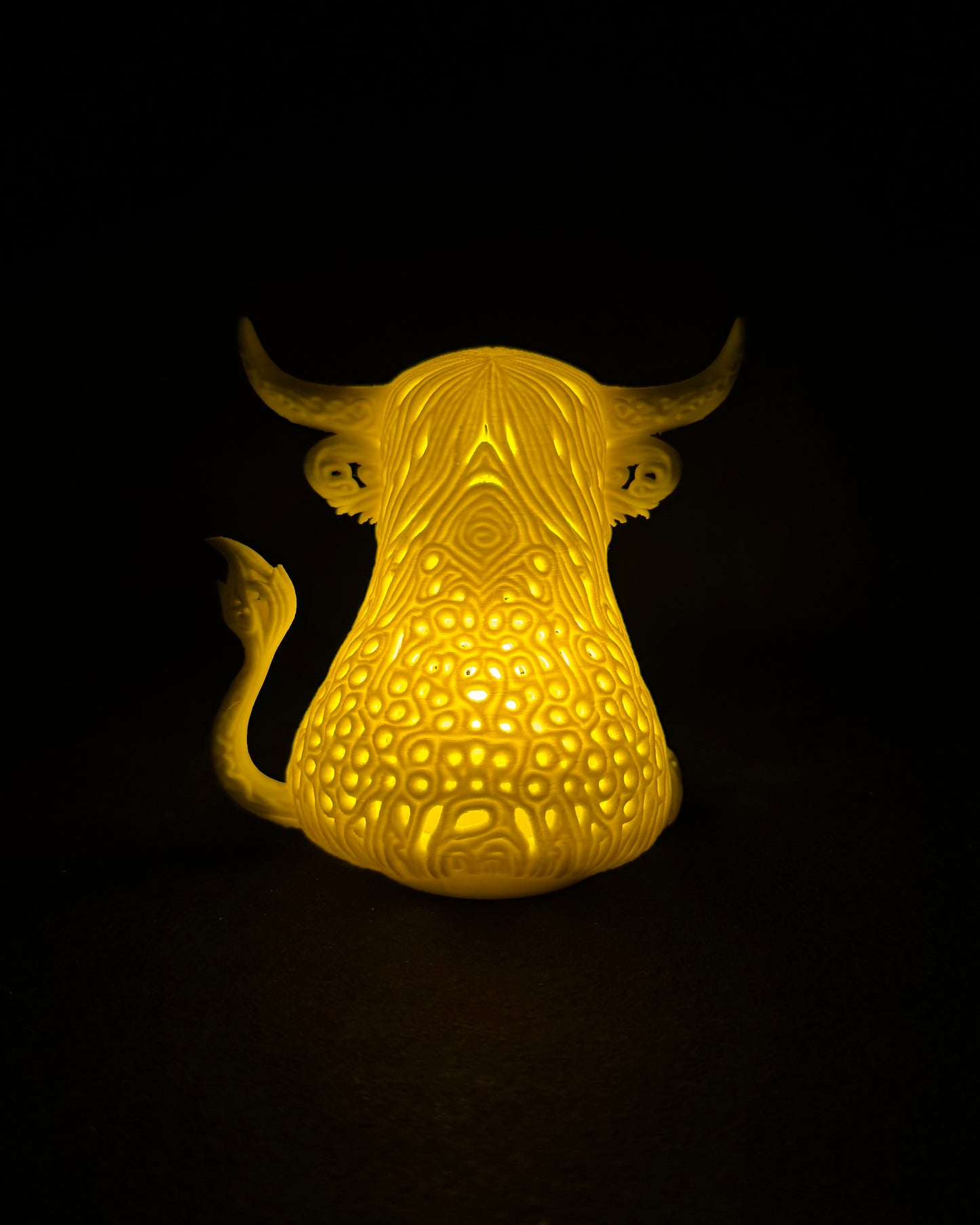 Lumorna Lichtmoment | Das Hochlandrind