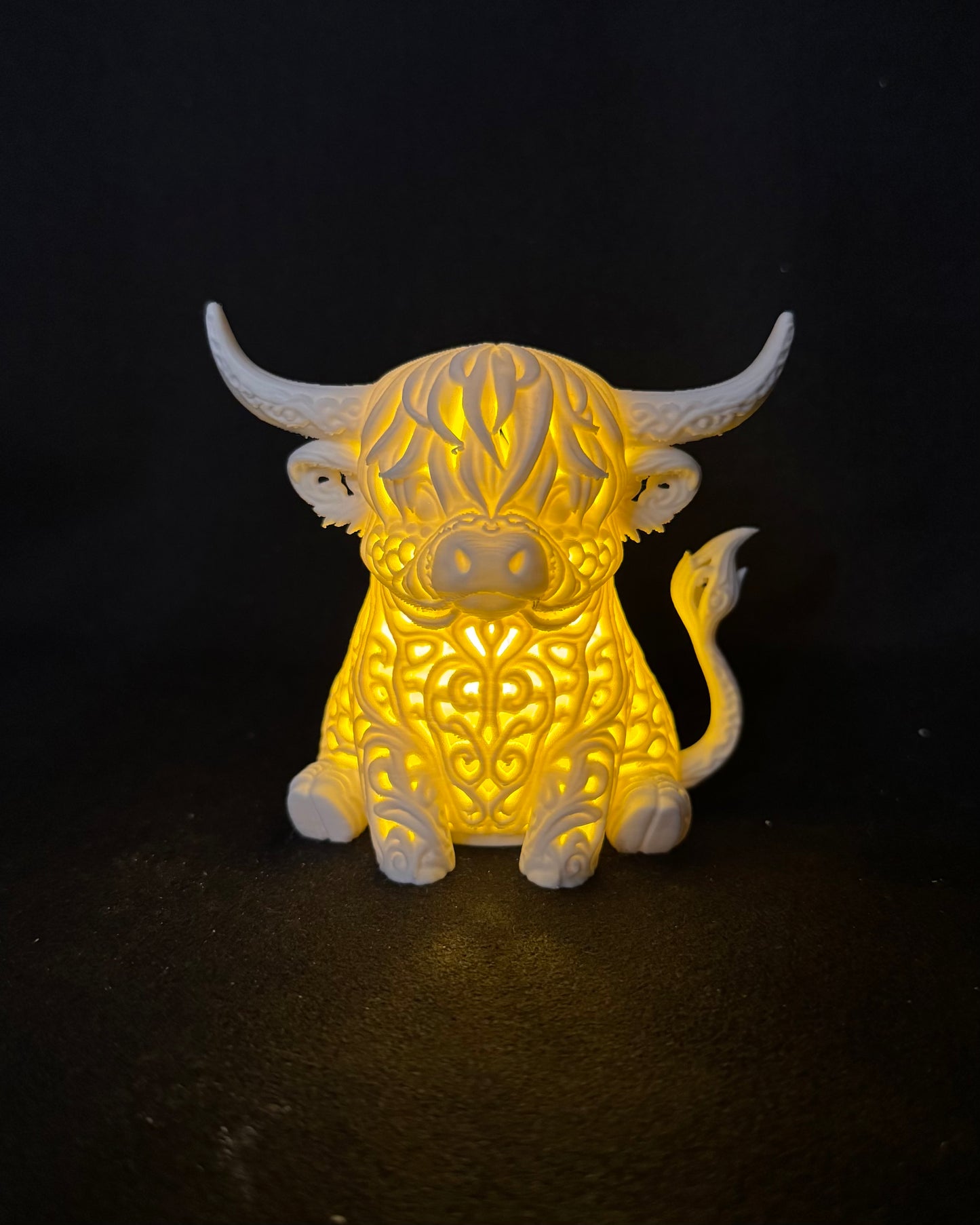 Lumorna Moment of Light | The Highland Cattle