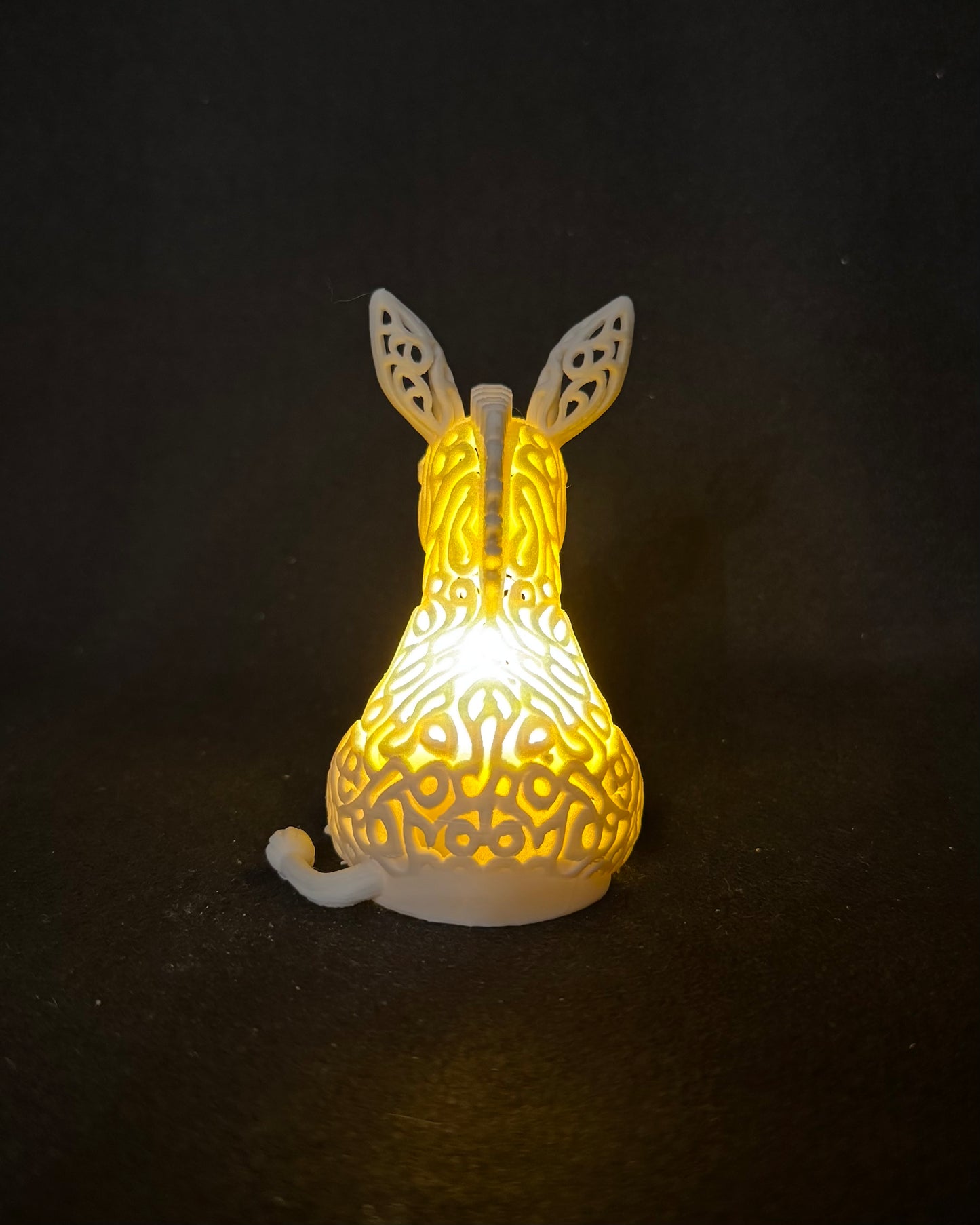 Lumorna Lichtmoment | Der Esel
