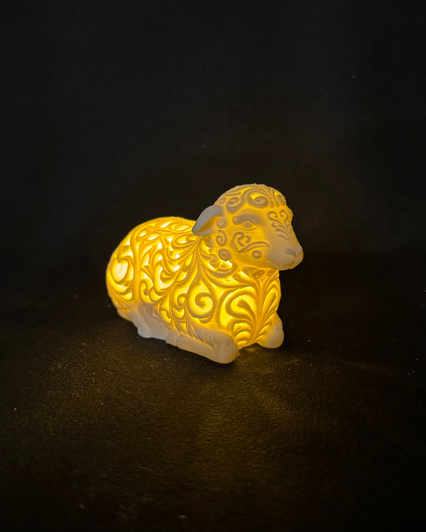 Lumorna Moment of Light | The Sheep