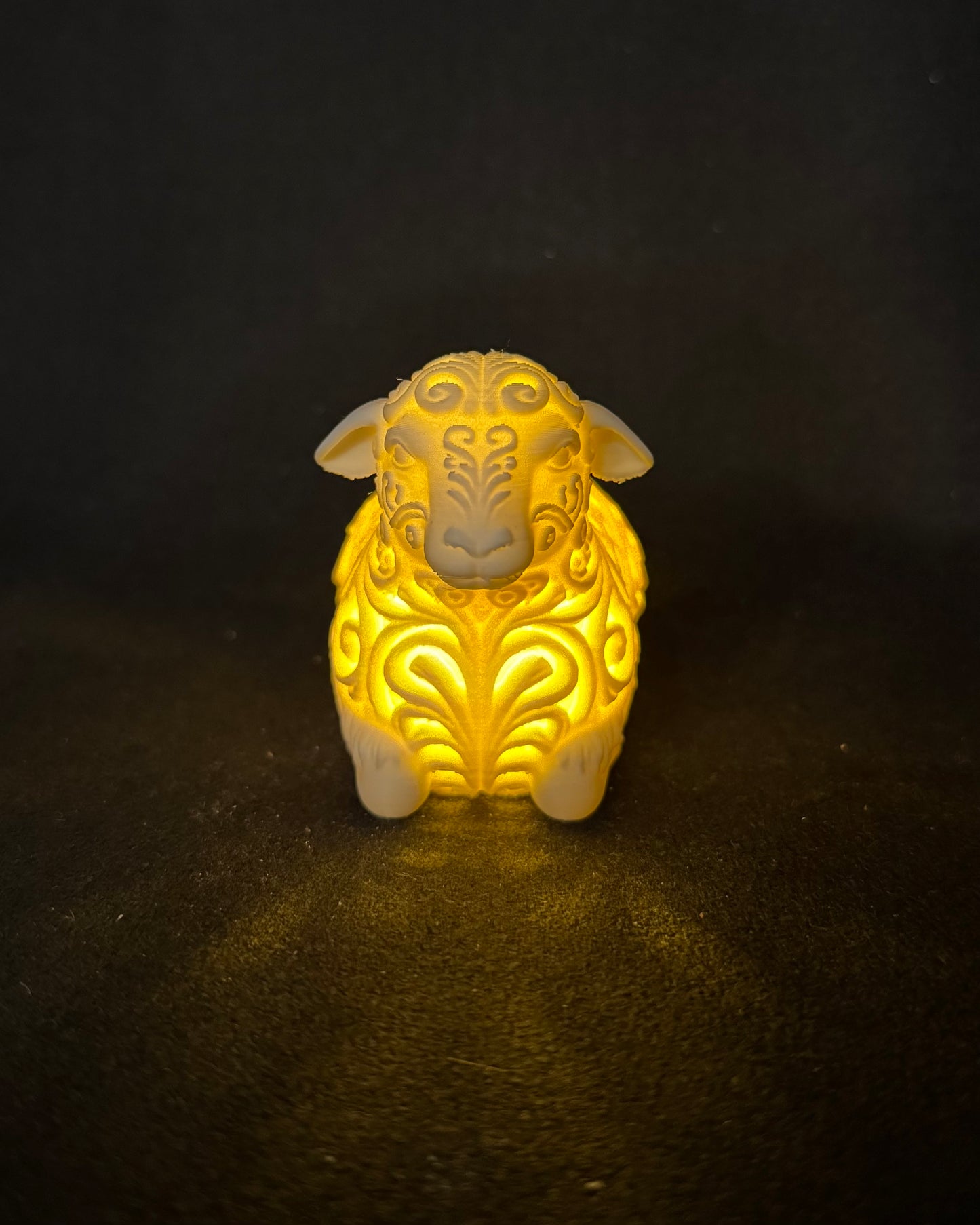 Lumorna Moment of Light | The Sheep