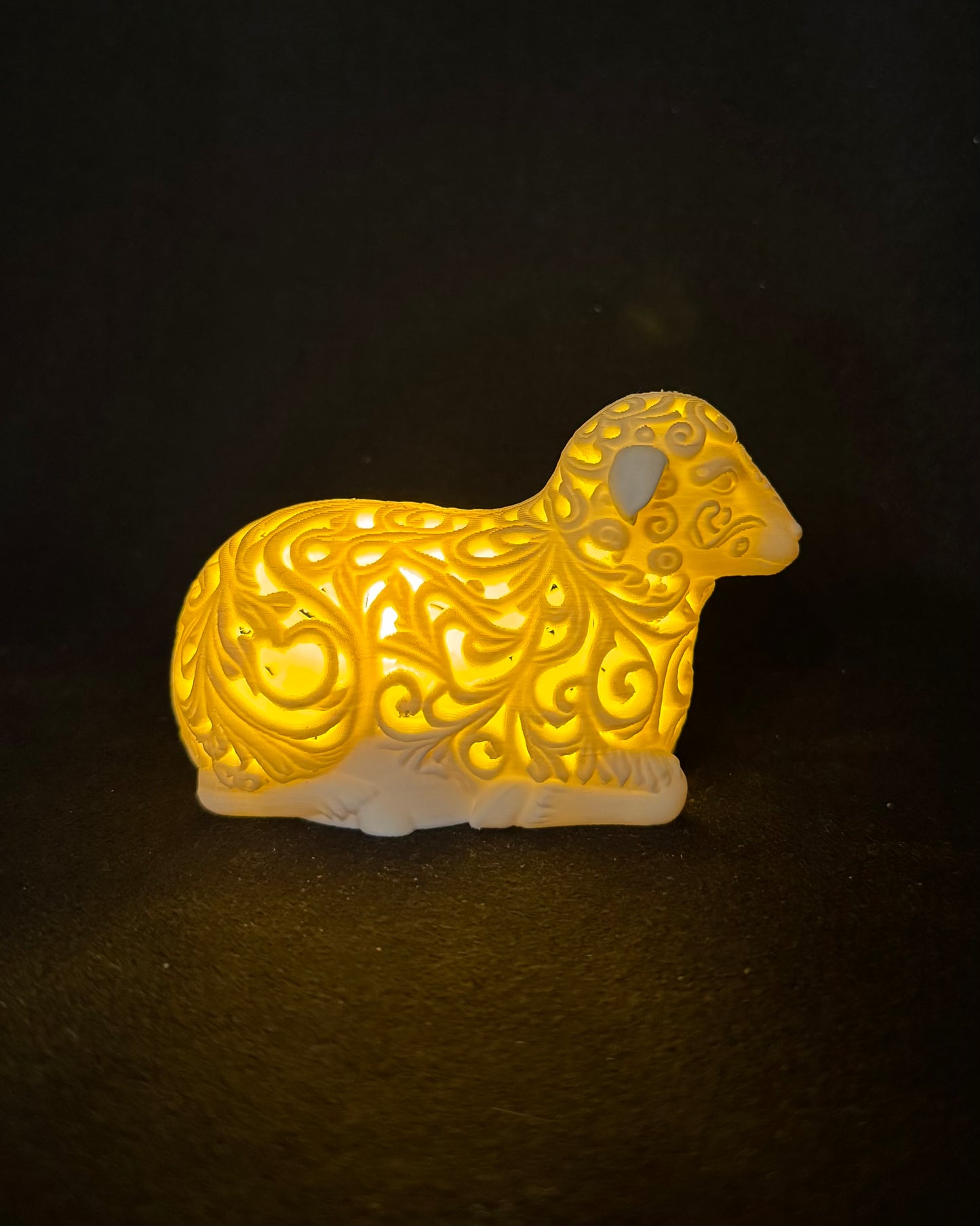 Lumorna Moment of Light | The Sheep