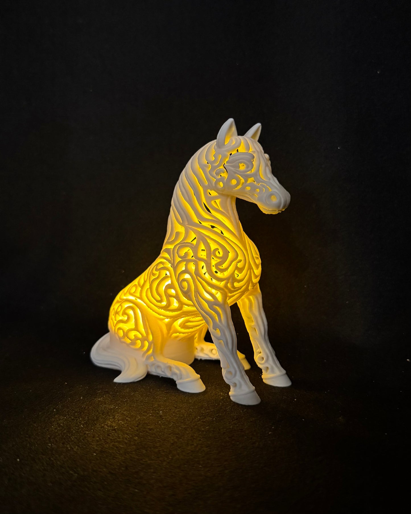 Lumorna Lichtmoment | Das Pferd