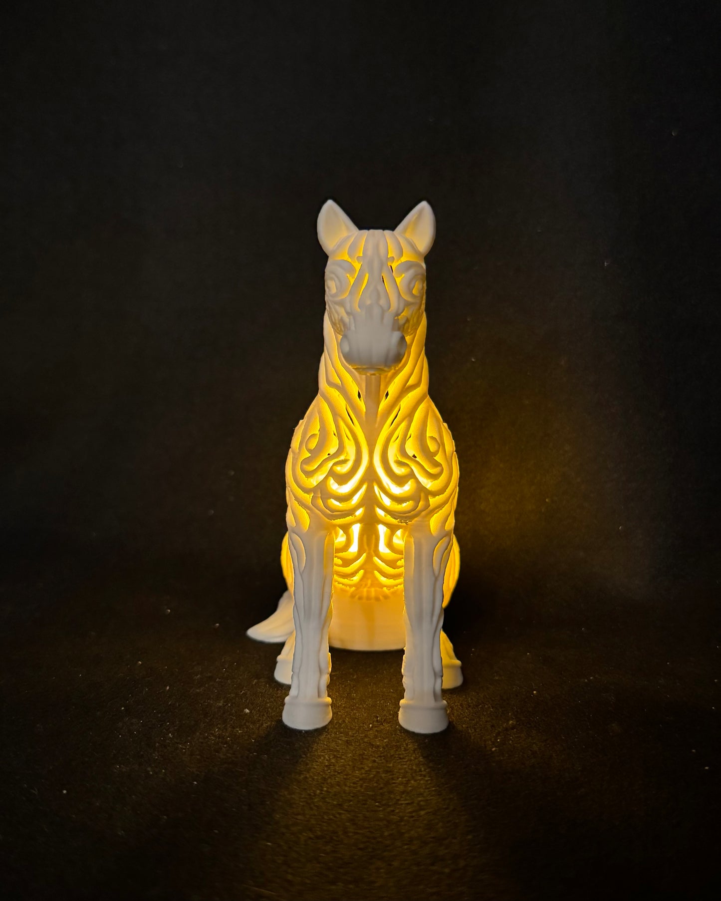 Lumorna Lichtmoment | Das Pferd