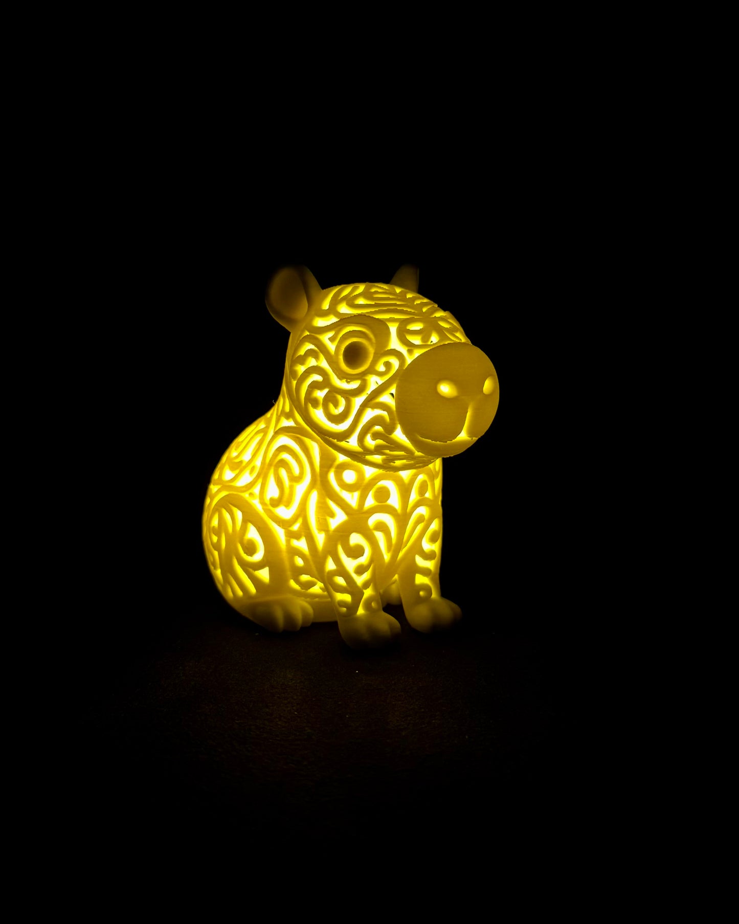 Lumorna Lichtmoment | Das Capybara