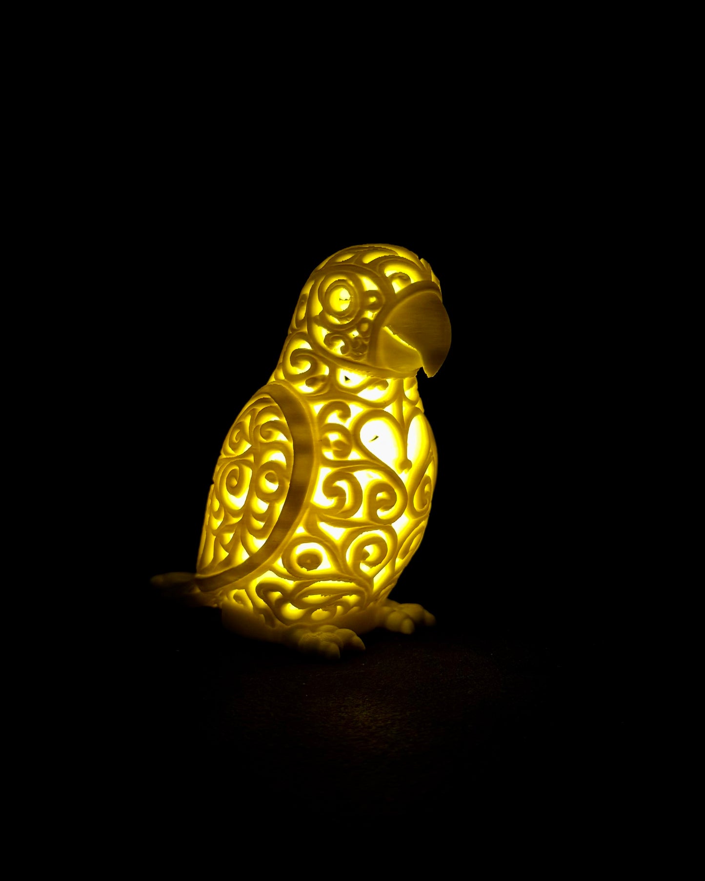 Lumorna Lichtmoment | Der Papagei