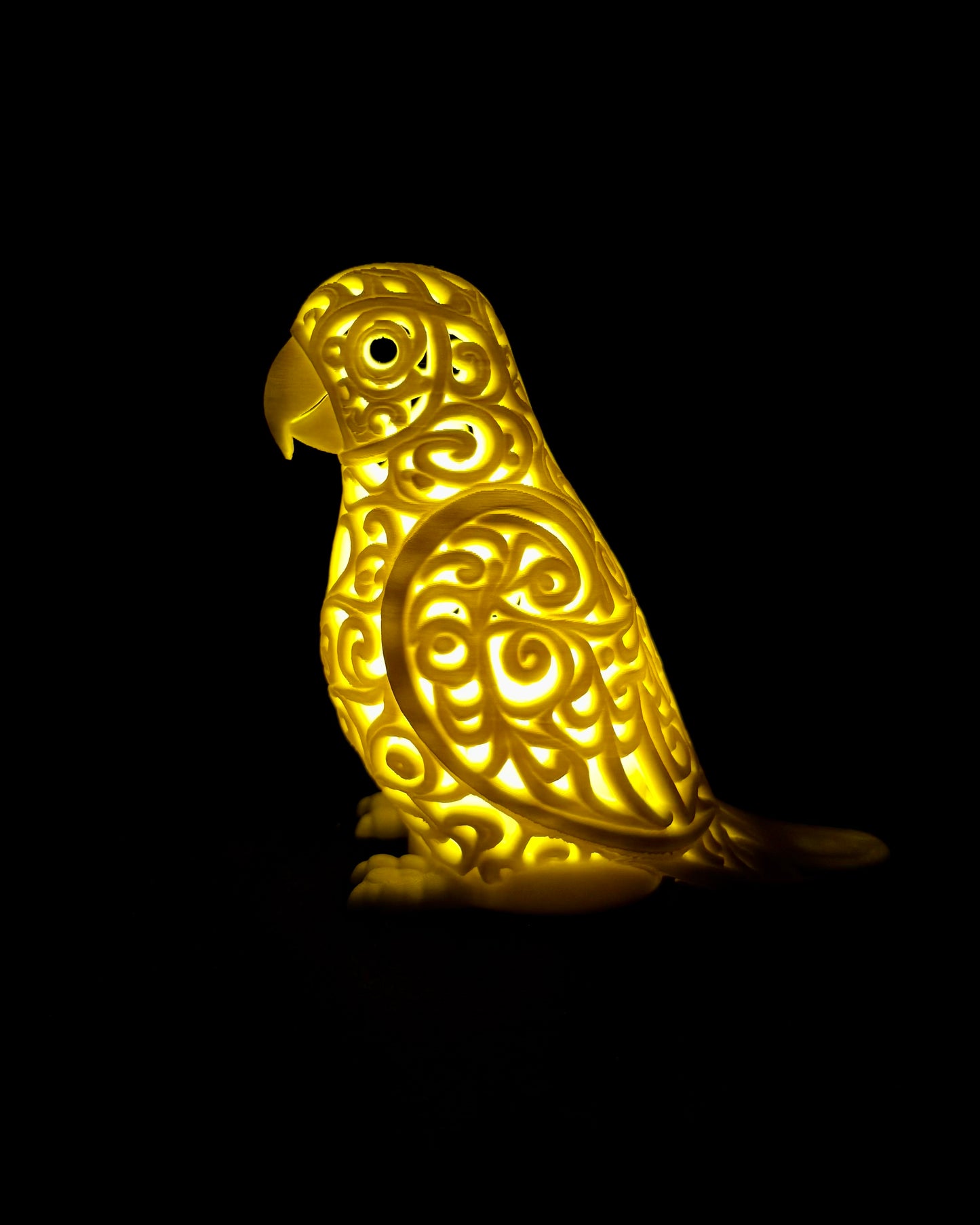 Lumorna Lichtmoment | Der Papagei