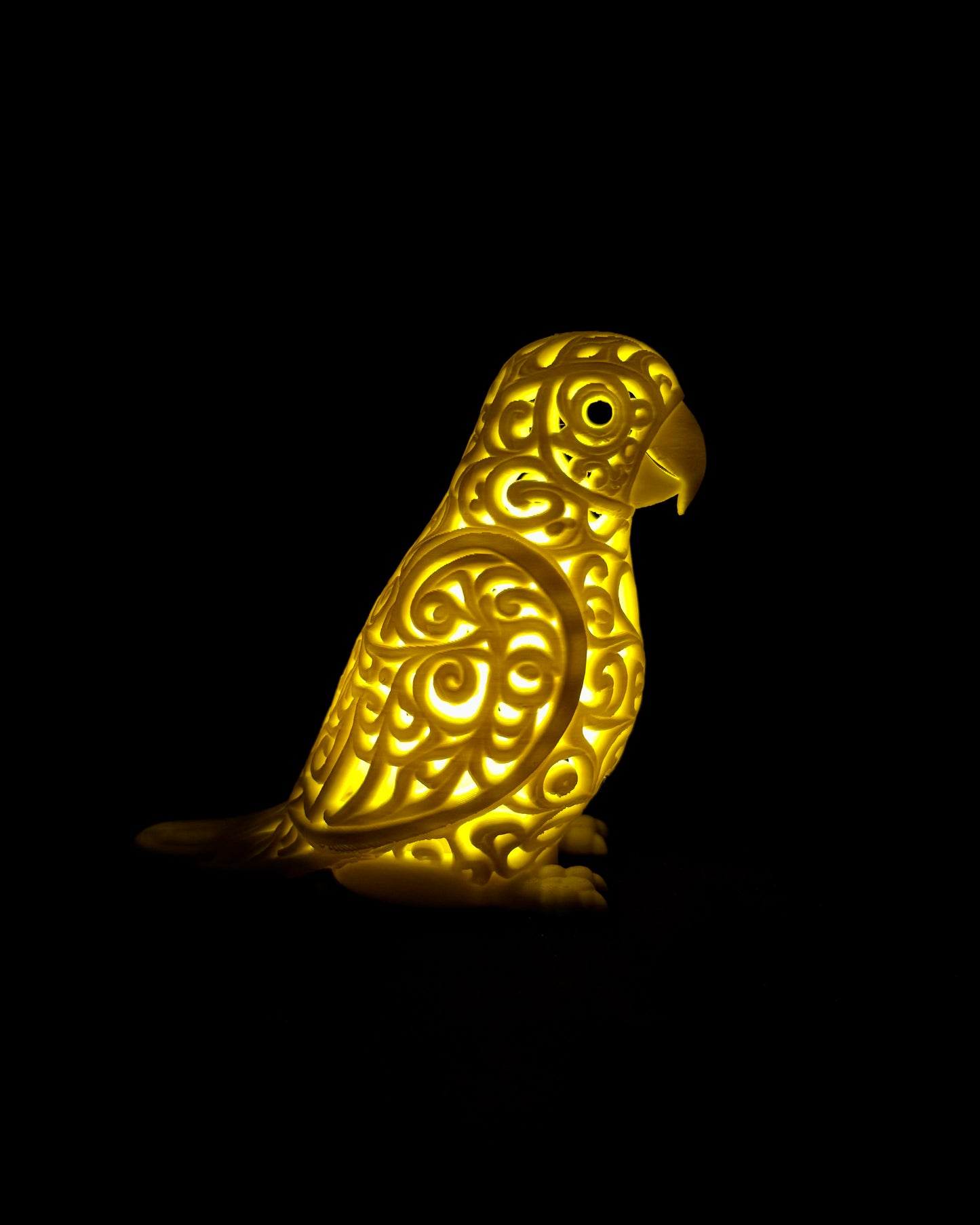 Lumorna Lichtmoment | Der Papagei