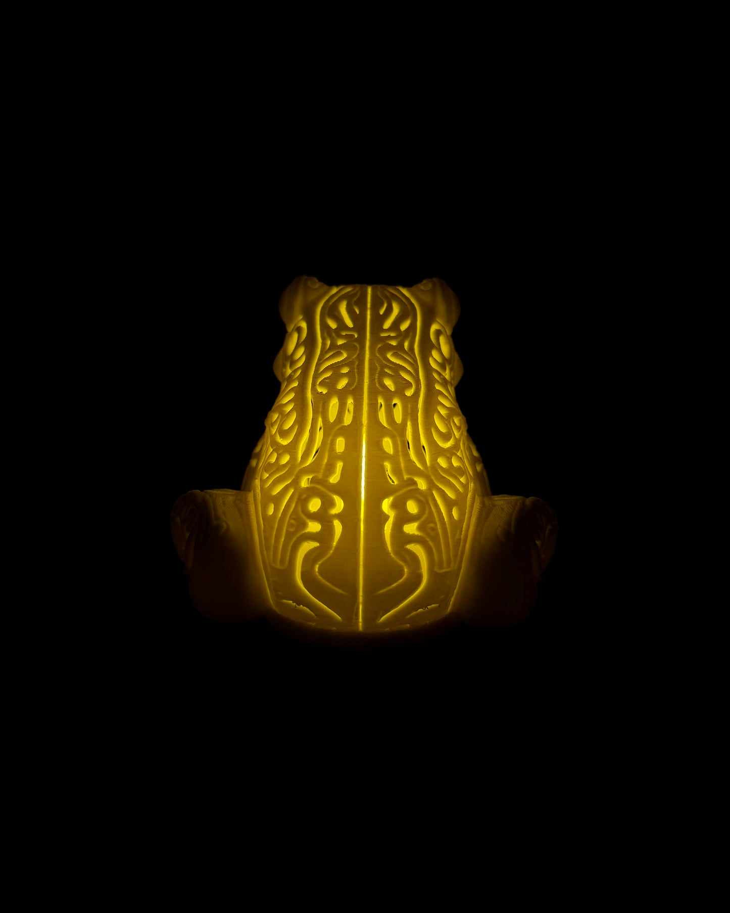 Lumorna Lichtmoment | Der Giftfrosch