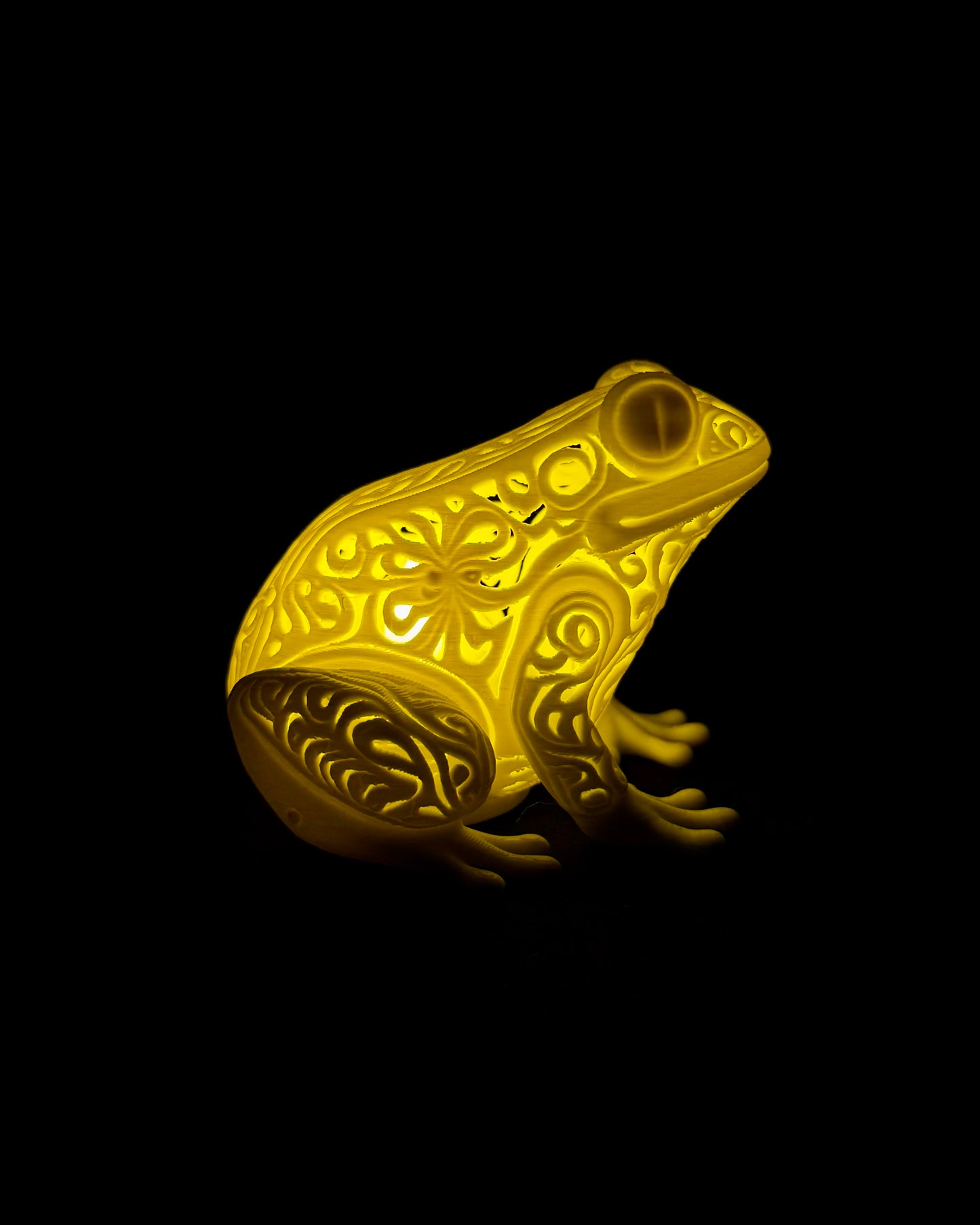 Lumorna Lichtmoment | Der Giftfrosch