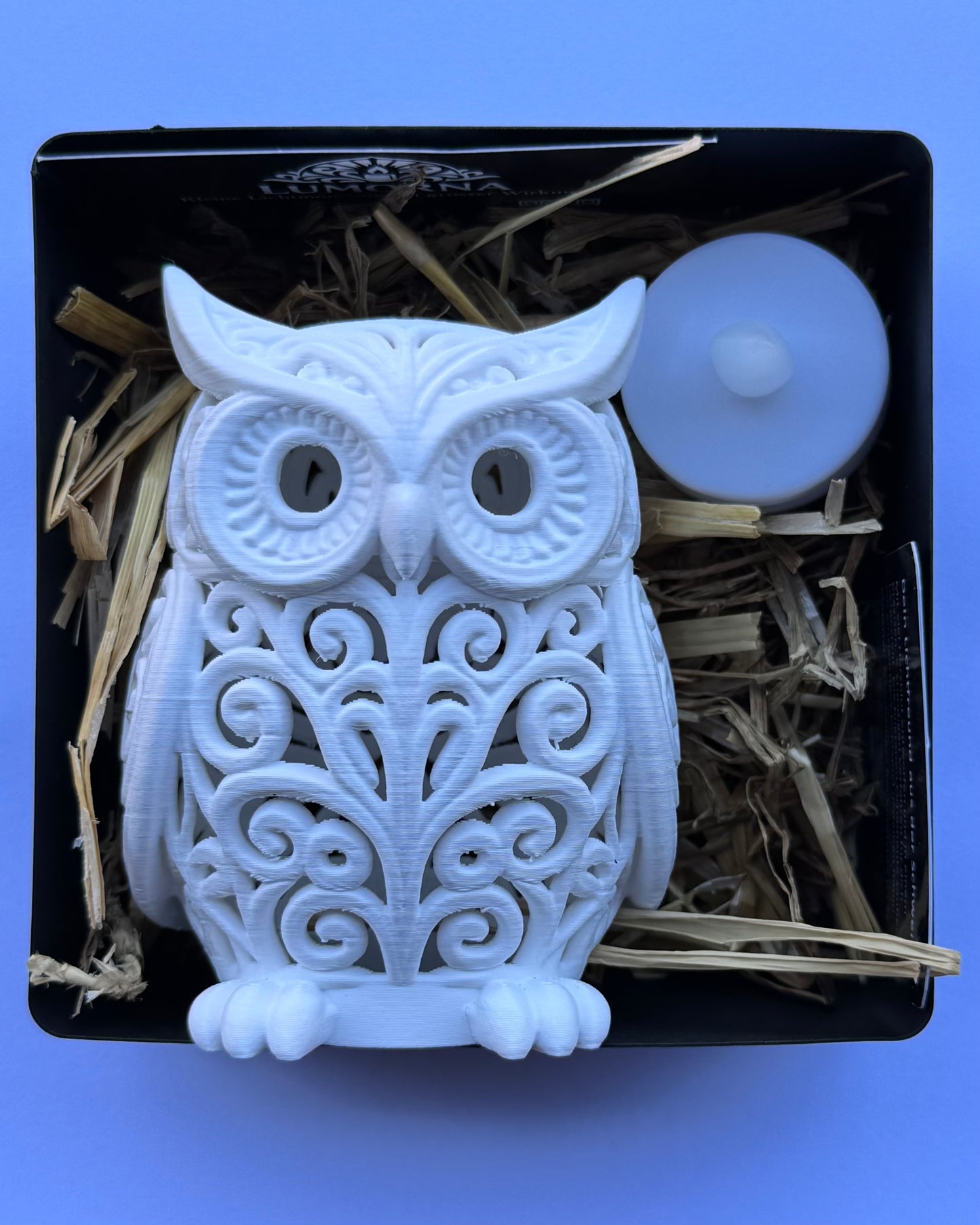 Lumorna Lightmoment | The Owl