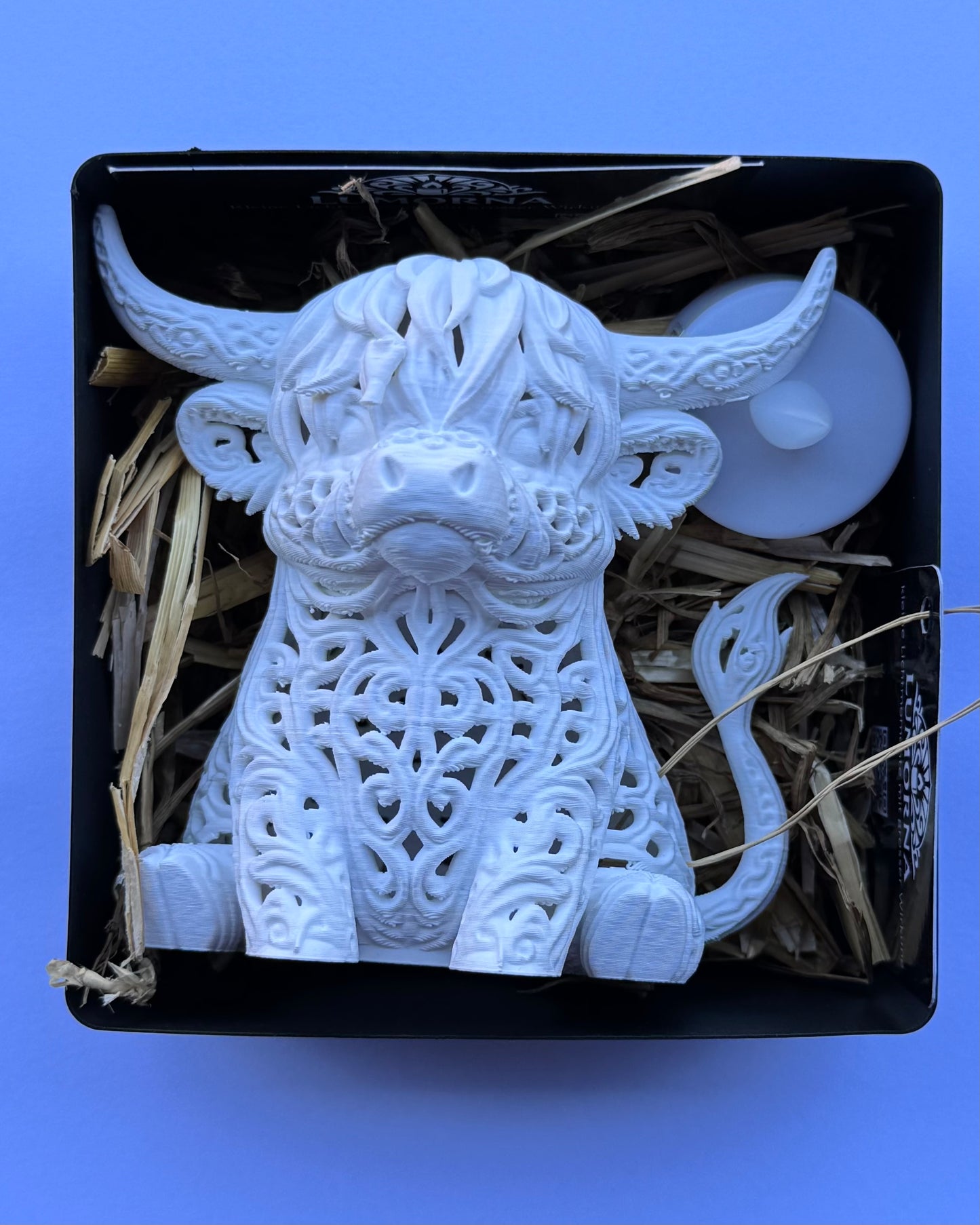 Lumorna Moment of Light | The Highland Cattle