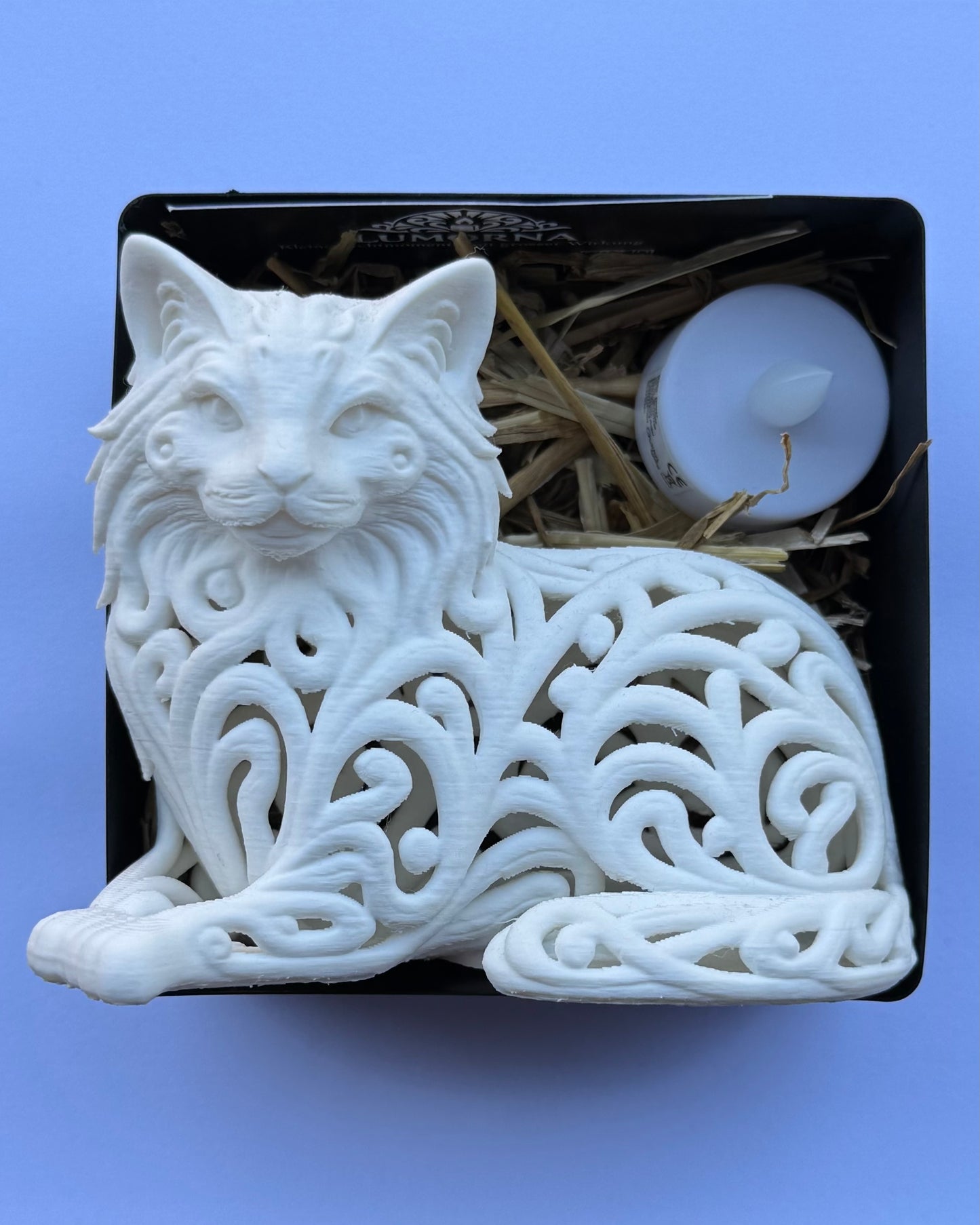 Lumorna Lichtmoment | Katze Liegend (Langhaar)