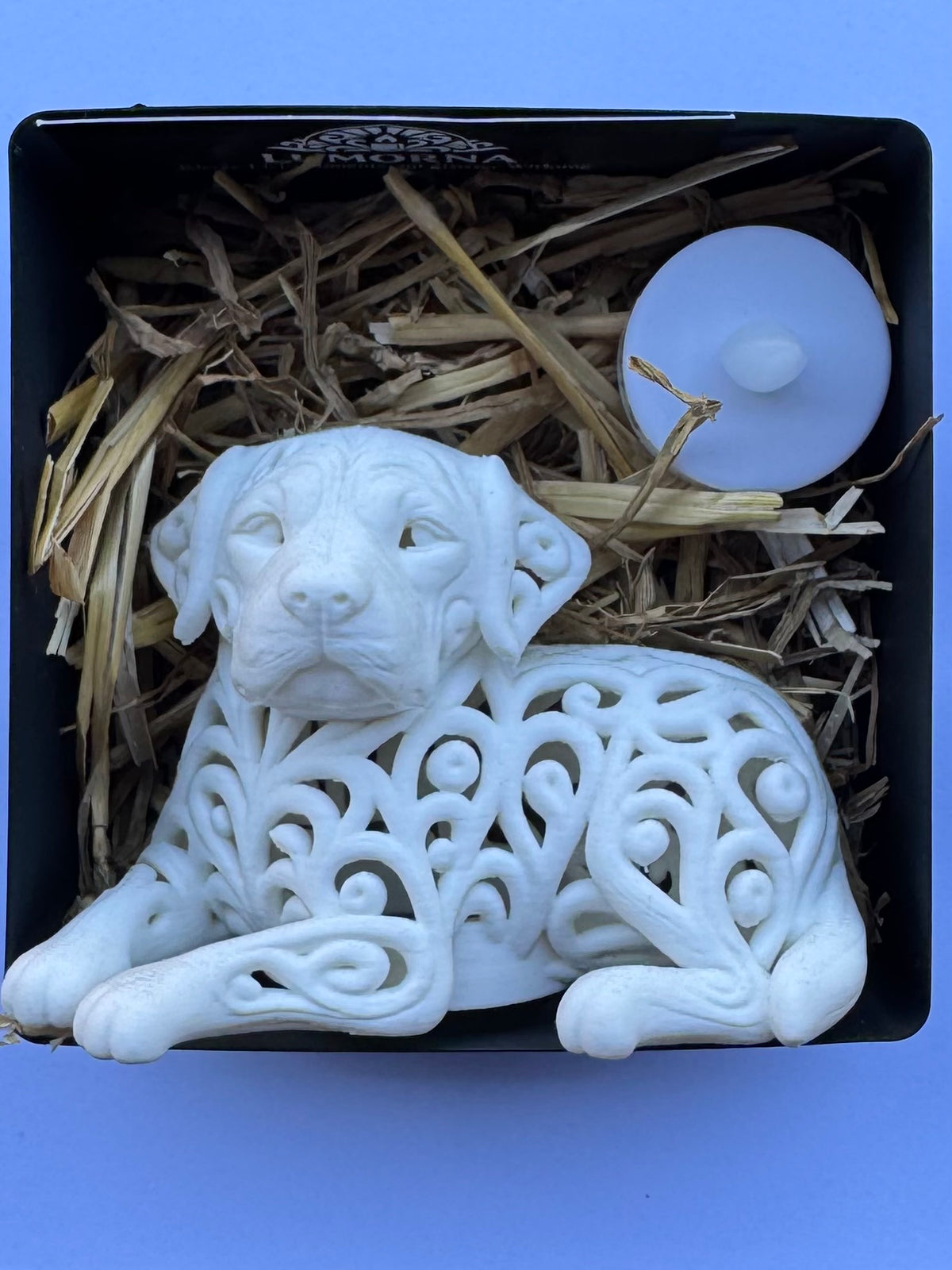 Lumorna Instant Lumière | Le Golden Retriever Allongé