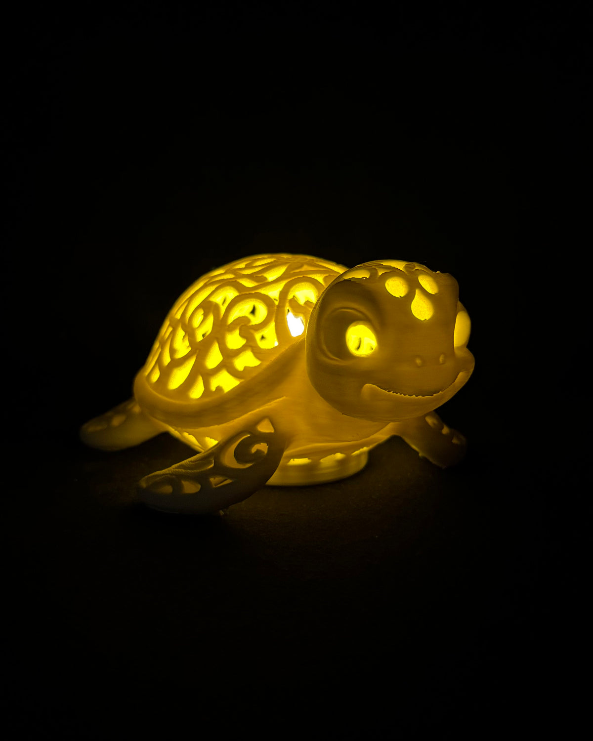 Lumorna Lichtmoment | La tortue aquatique