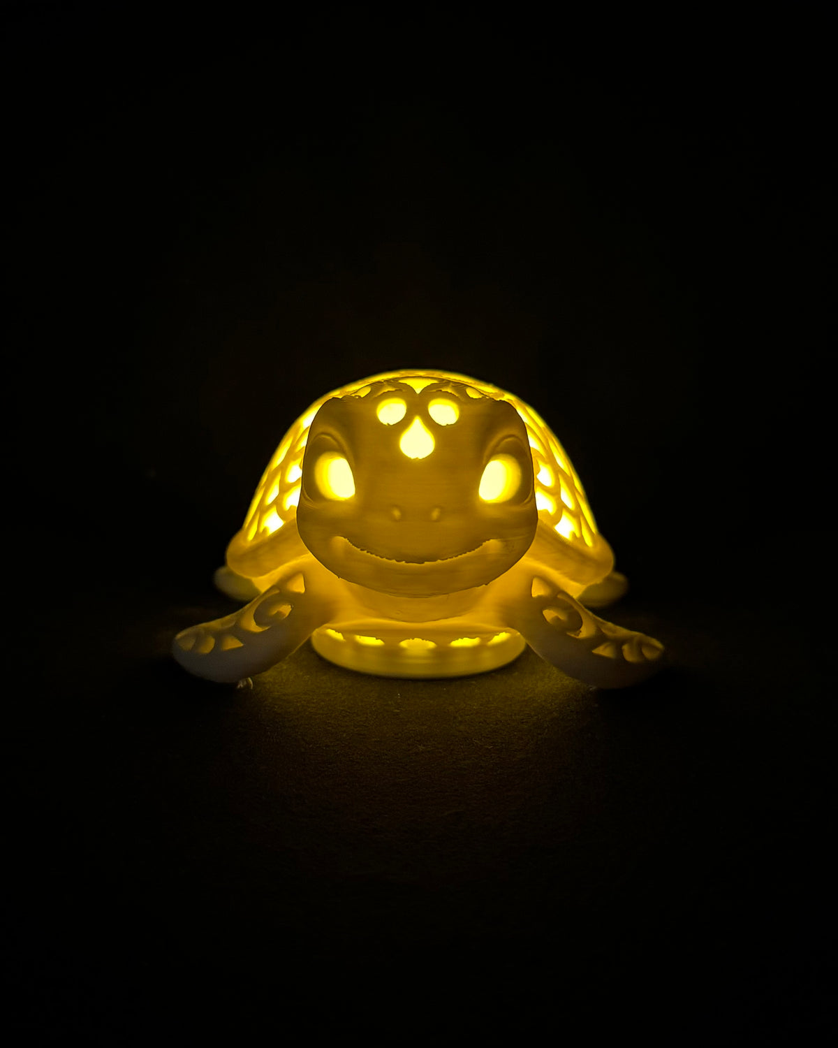 Lumorna Lichtmoment | La tortue aquatique