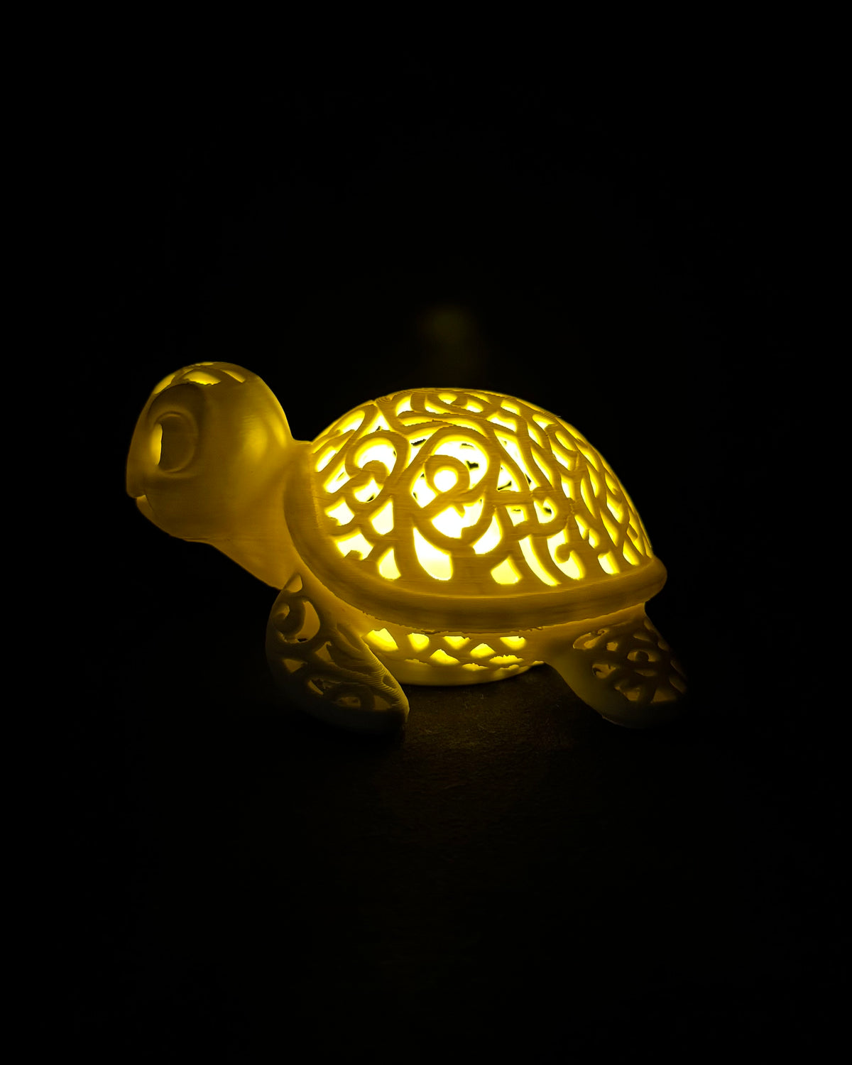 Lumorna Lichtmoment | La tortue aquatique