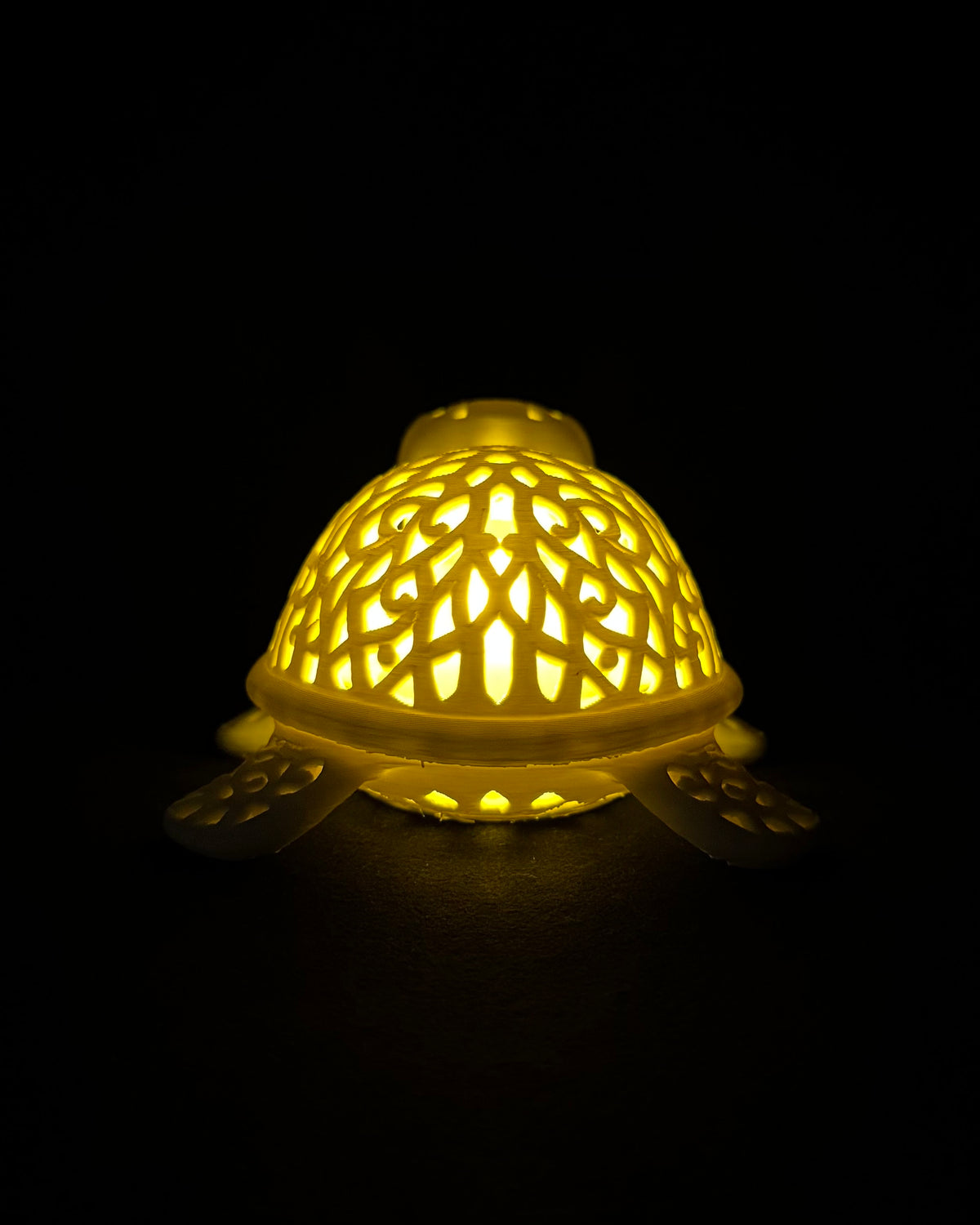 Lumorna Lichtmoment | La tortue aquatique
