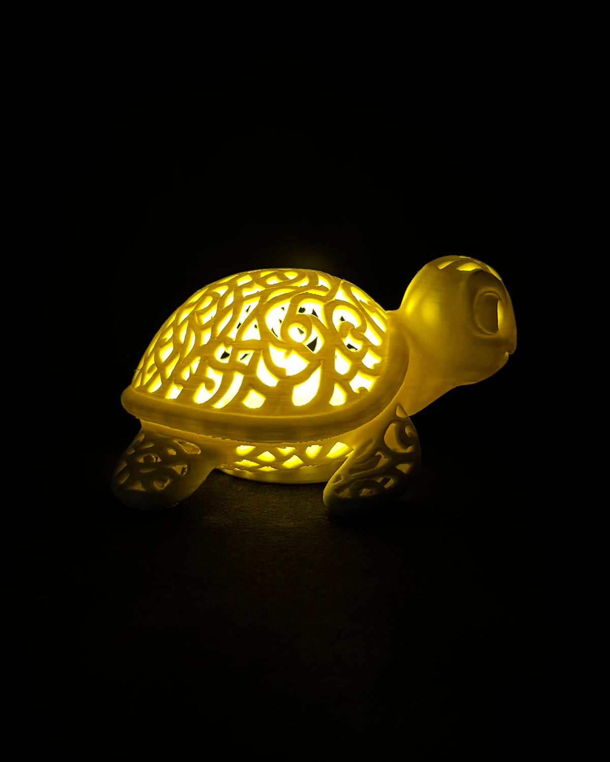 Lumorna Lichtmoment | La tortue aquatique