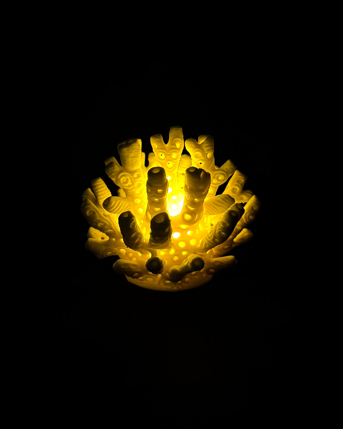 Lumorna Instant de Lumière | Le Corail