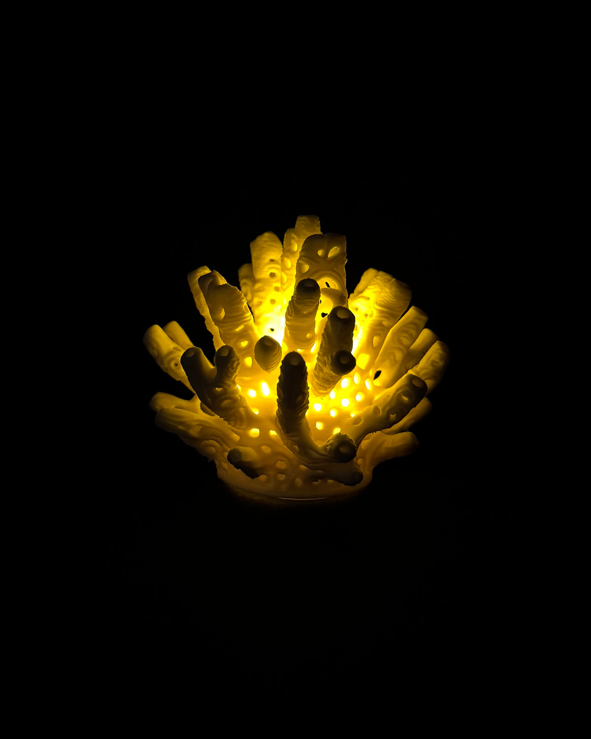 Lumorna Instant de Lumière | Le Corail